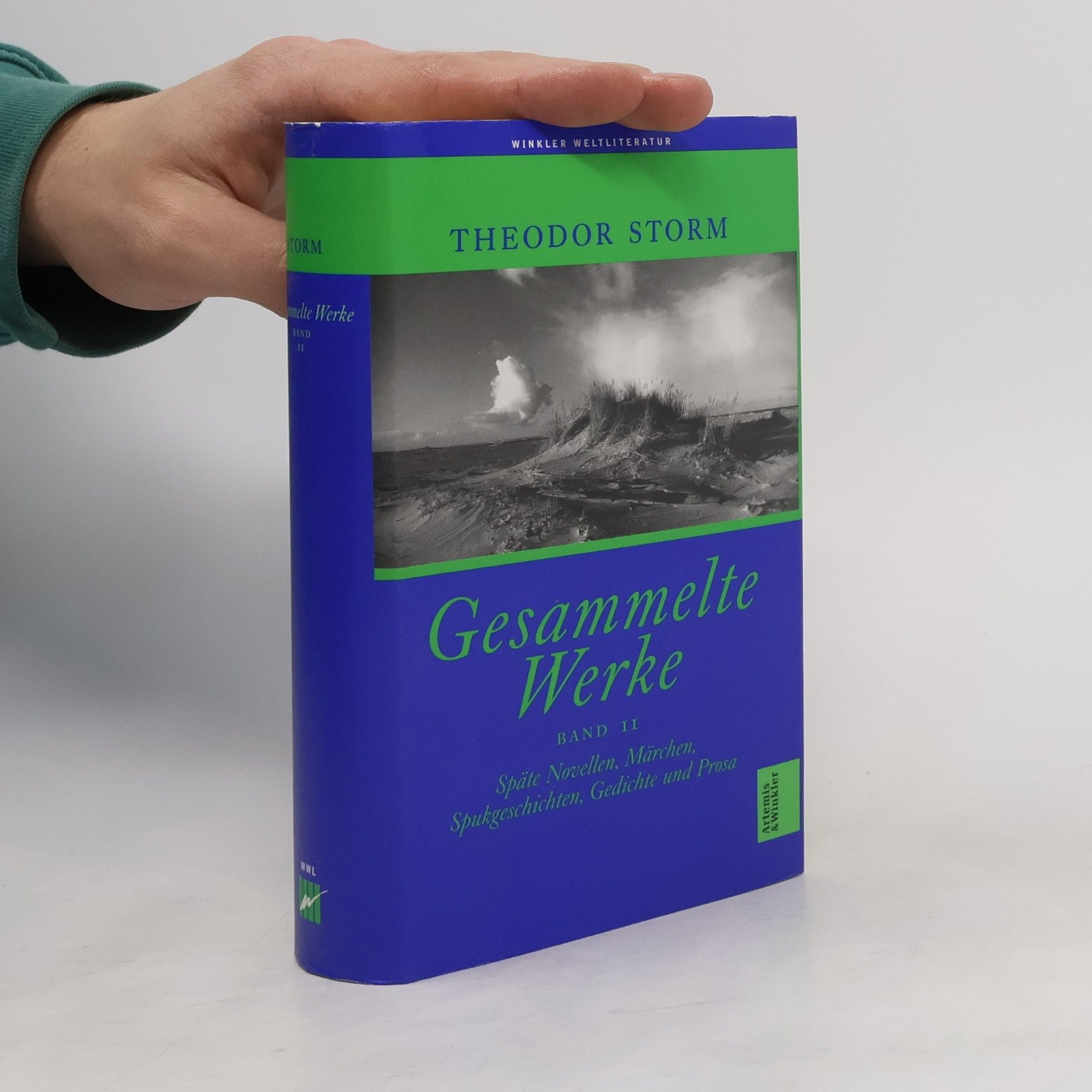 Theodor Storm Späte Novellen, Märchen, Spukgeschichten, Gedichte und Prosa. Späte Novellen, Märchen, Spukgeschichten, Gedichte und Prosa