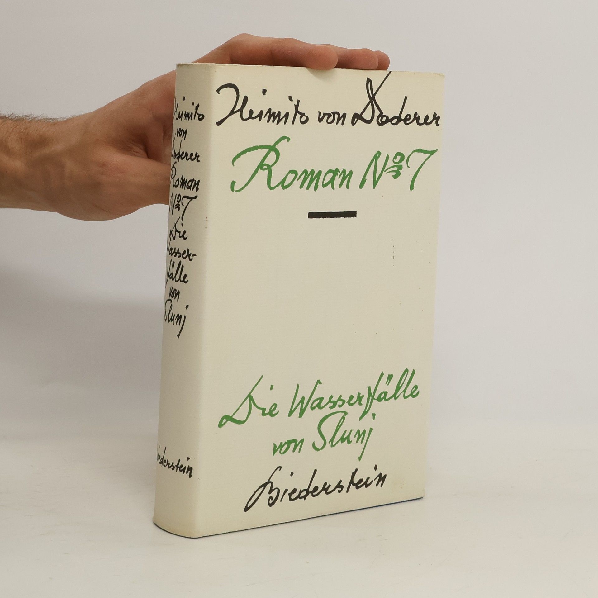 Heimito von Doderer Roman No 7. Die Wasserfälle von Slunj