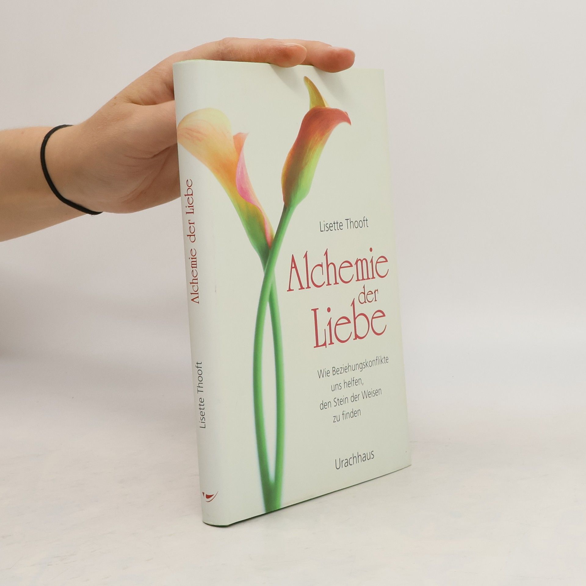 Lisette Thooft Alchemie der Liebe