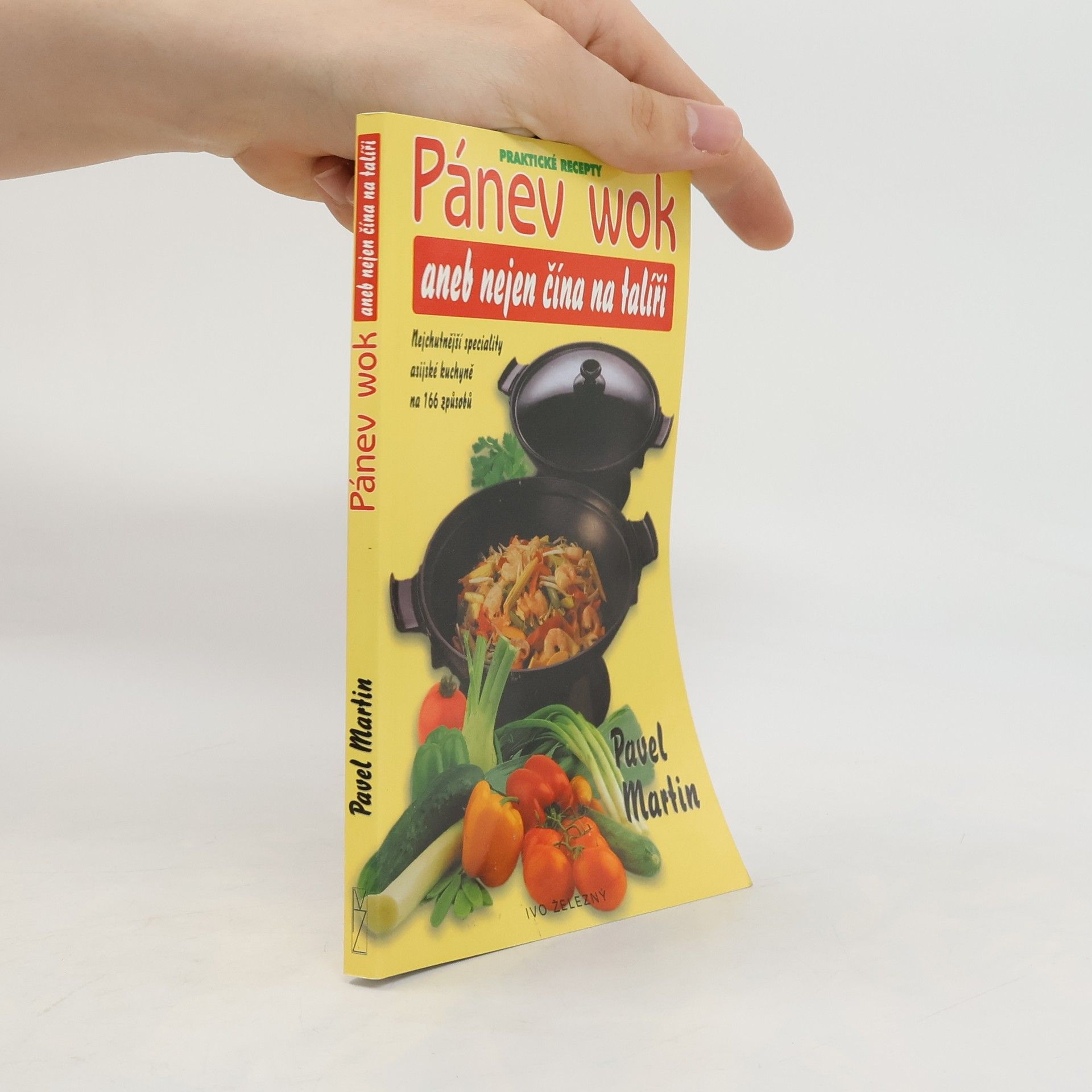 Martin Gabriel Pavel Pánev wok, aneb, Nejen čína na talíři