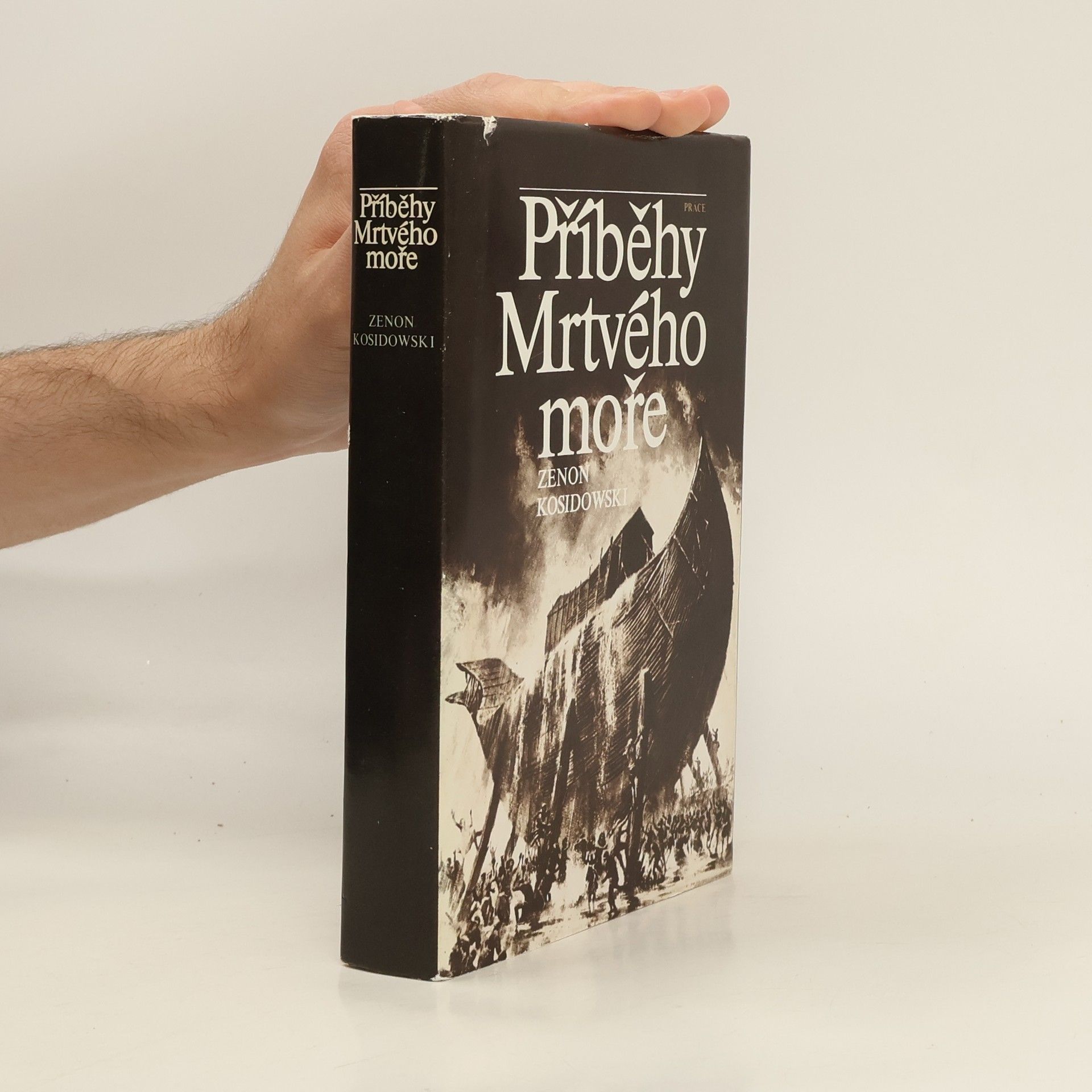 Zenon Kosidowski Příběhy Mrtvého moře