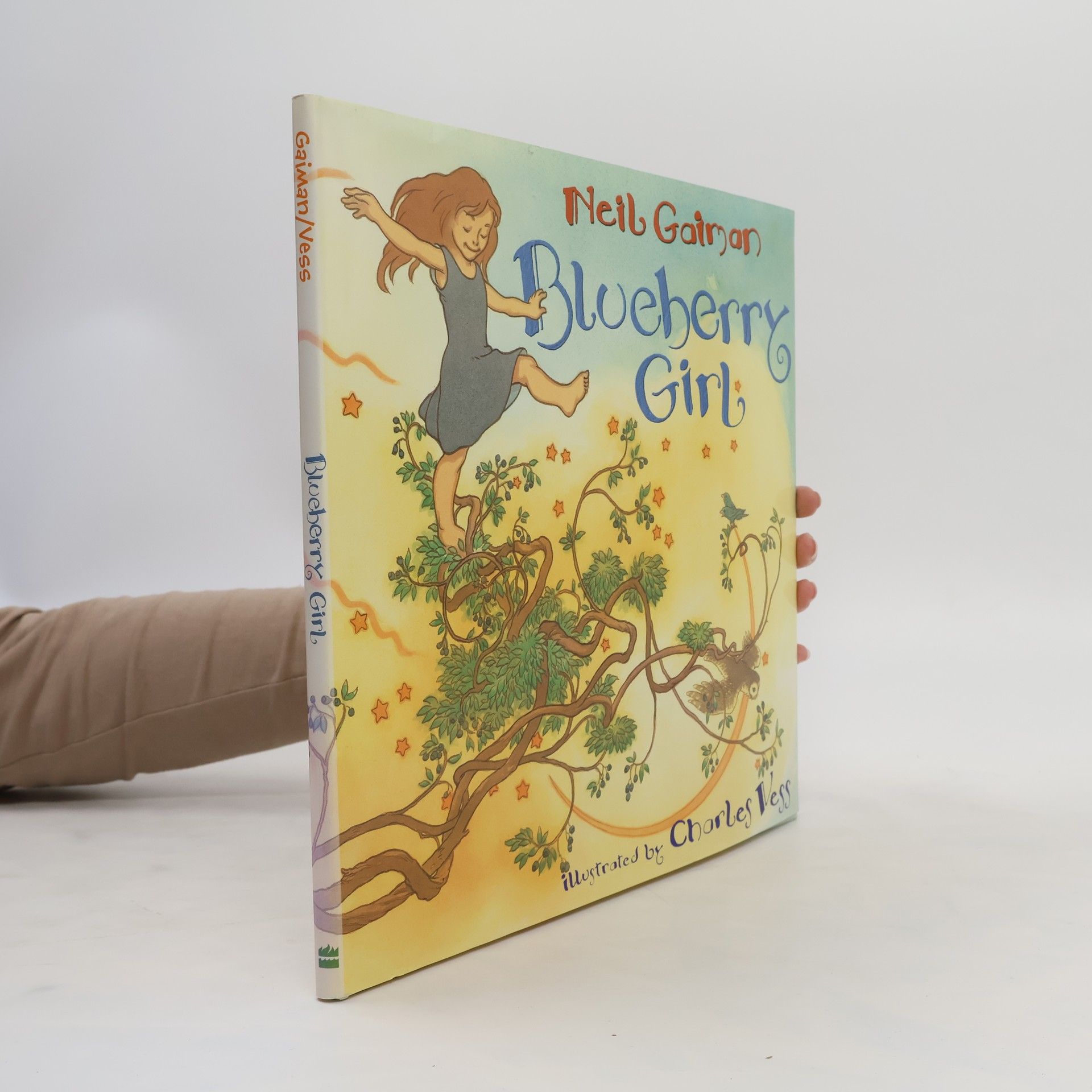Neil Gaiman Blueberry Girl