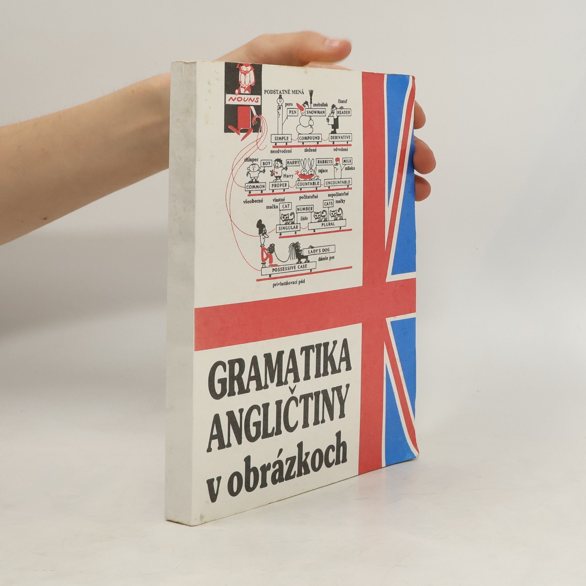 Mark Isaakovič Dubrovin Gramatika angličtiny v obrázkoch