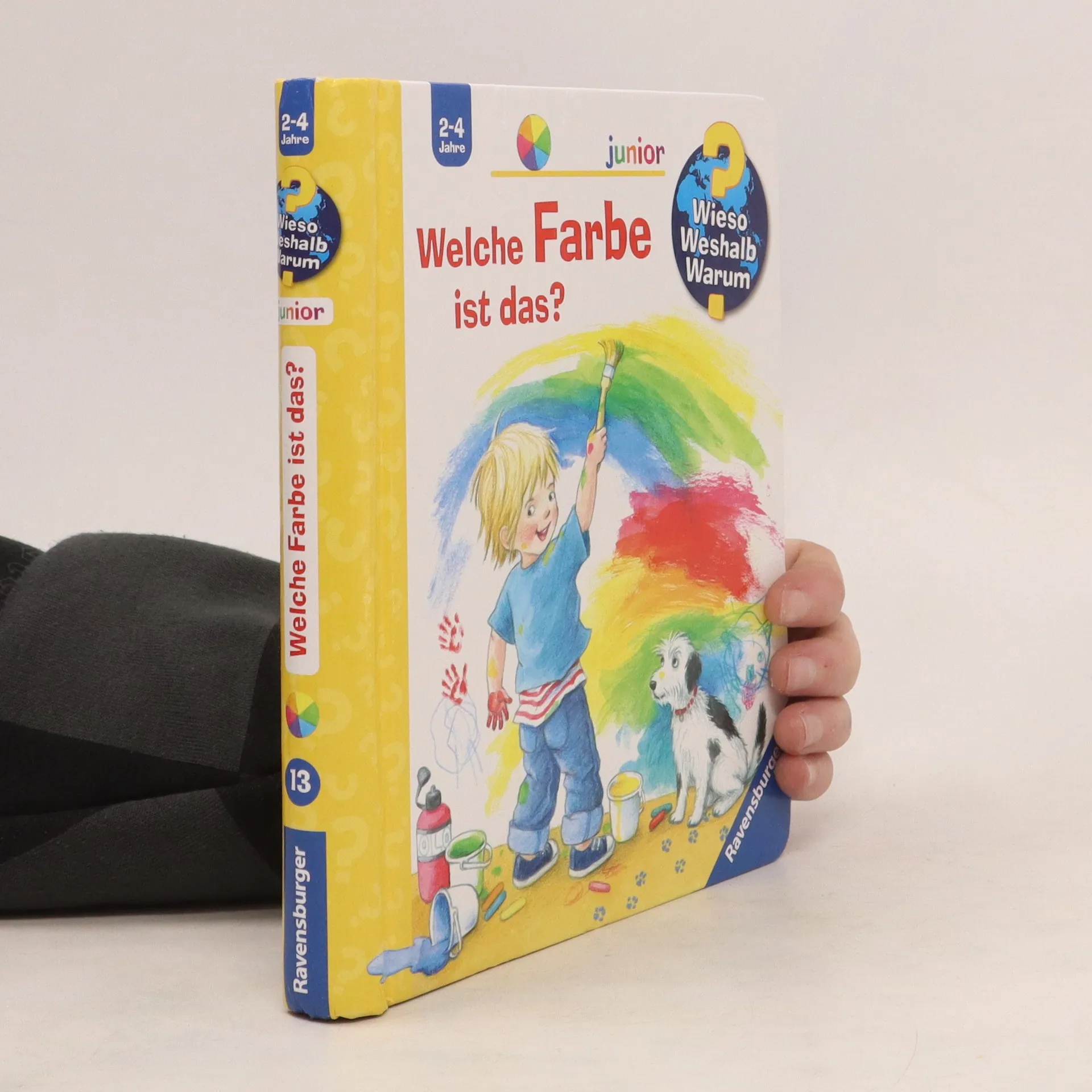 Welche Farbe ist das? | Buch | Doris Rübel