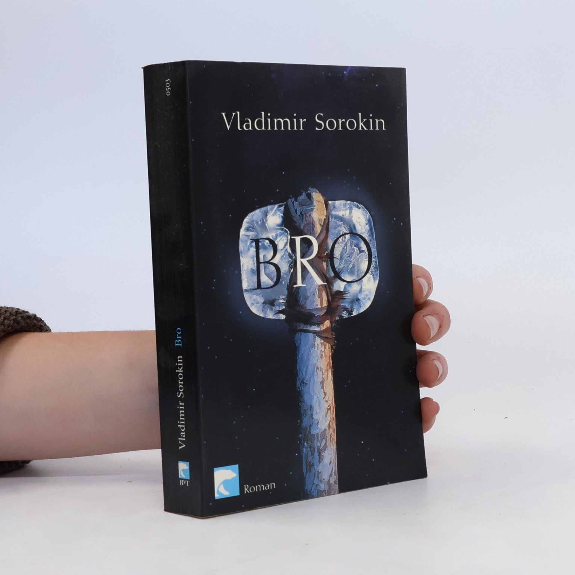 Vladimir Georgijevič Sorokin Bro