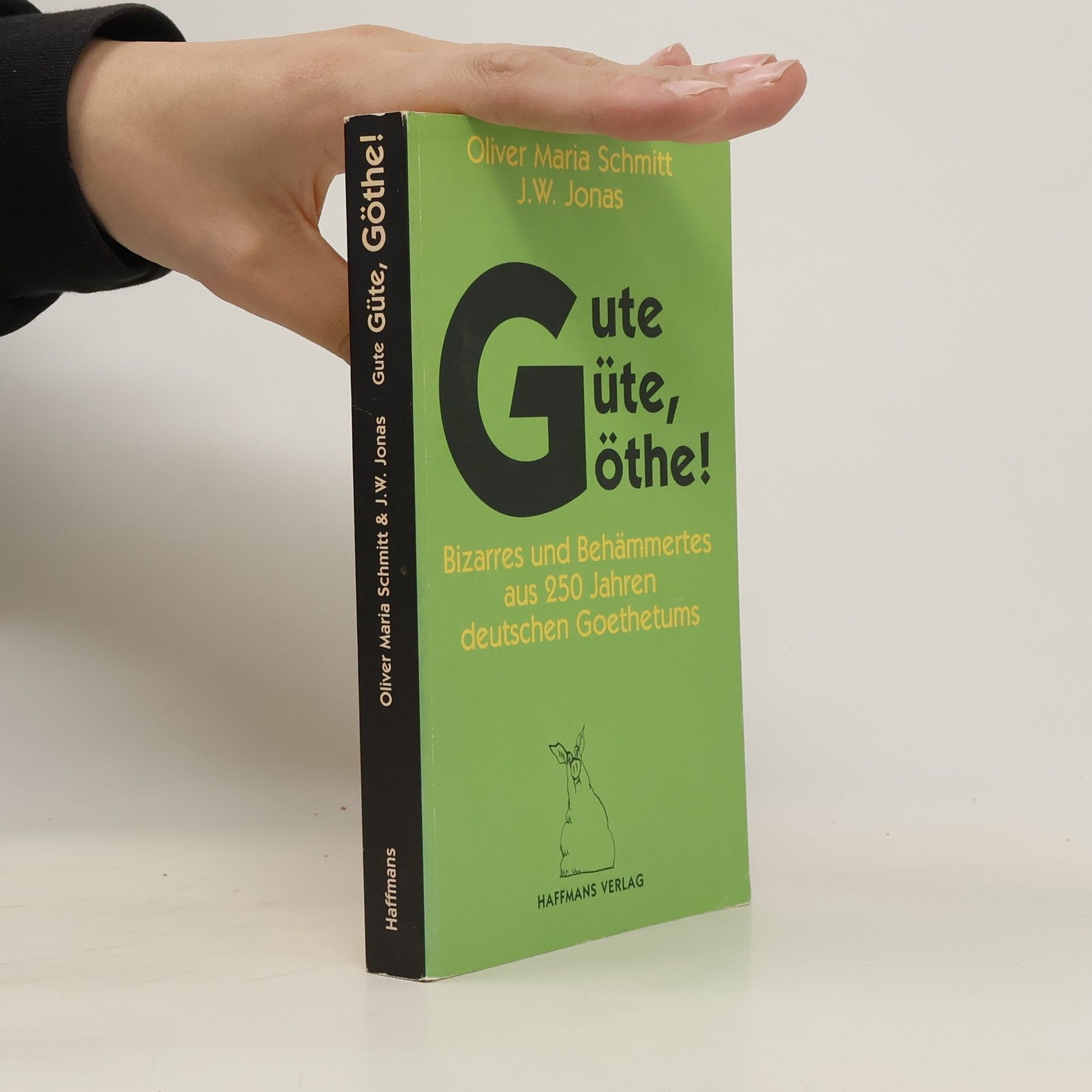 Oliver Maria Schmitt Gute Güte, Göthe!
