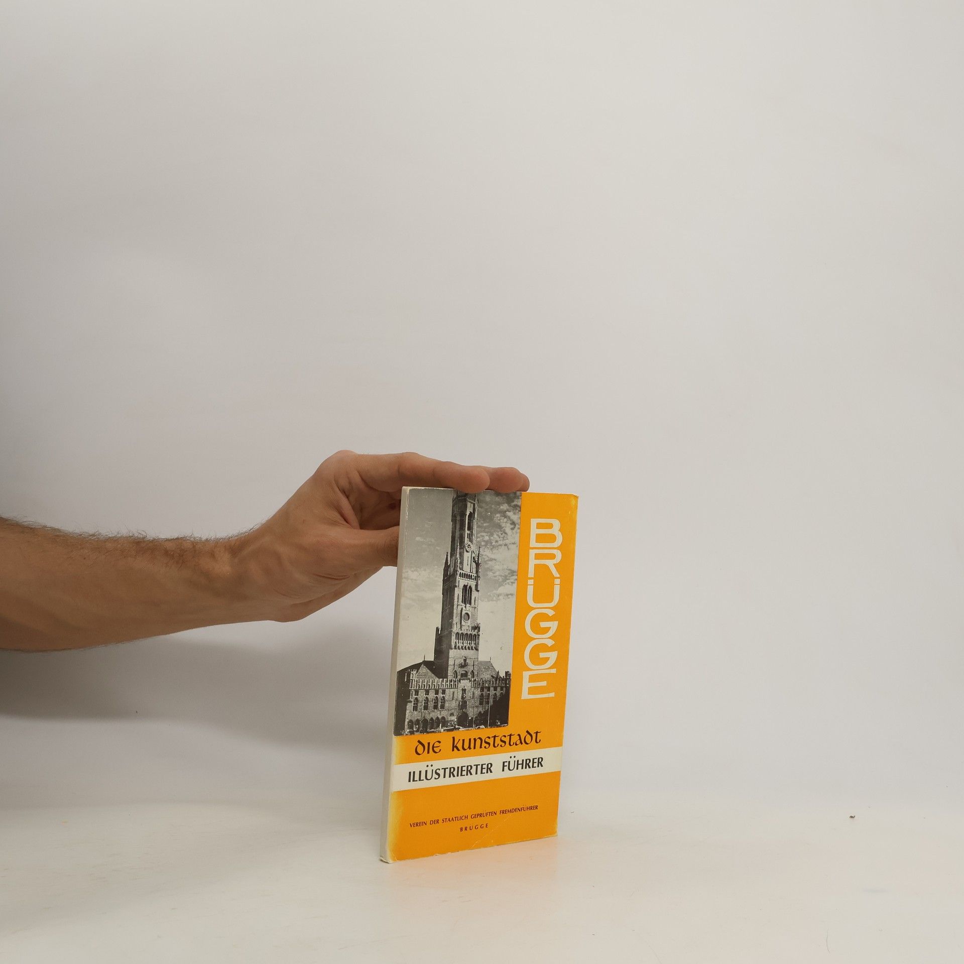 Auteurscollectief Brugge die Kunststadt. Illustrierter Führer