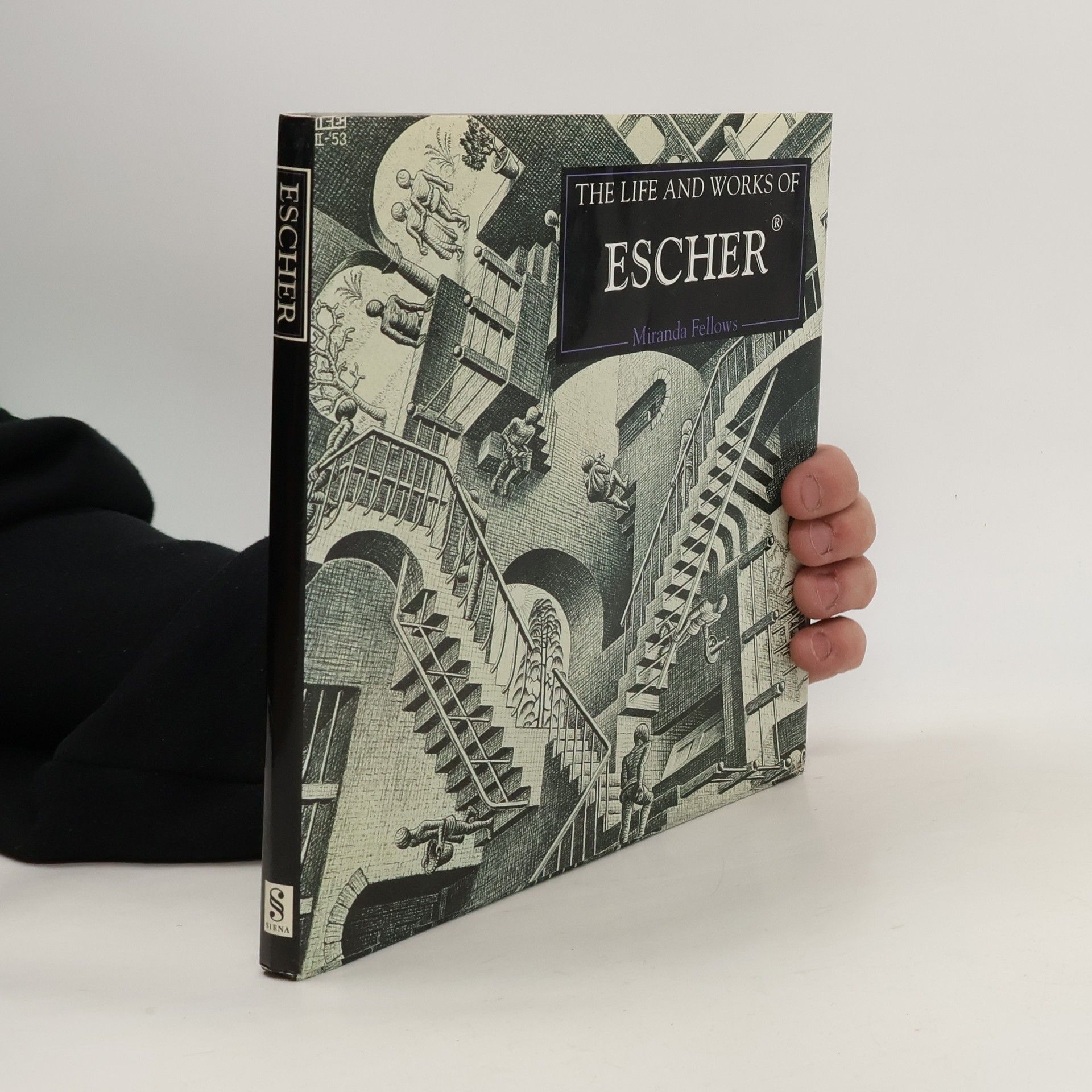 Miranda Fellows The Life and Works of Escher
