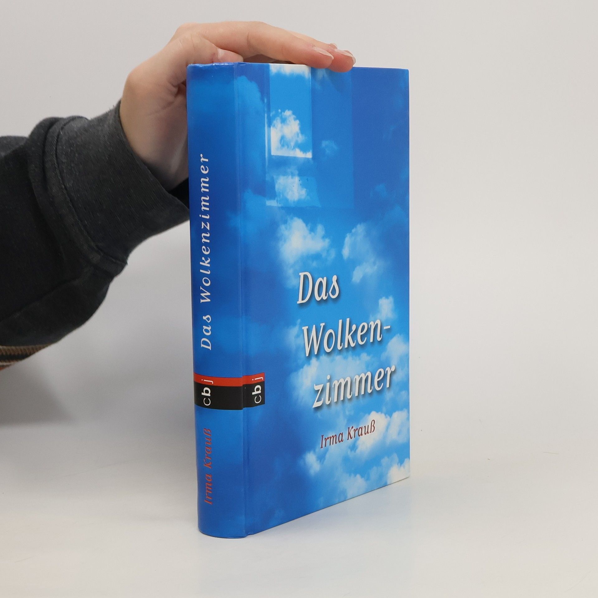 Irma Krauß Das Wolkenzimmer