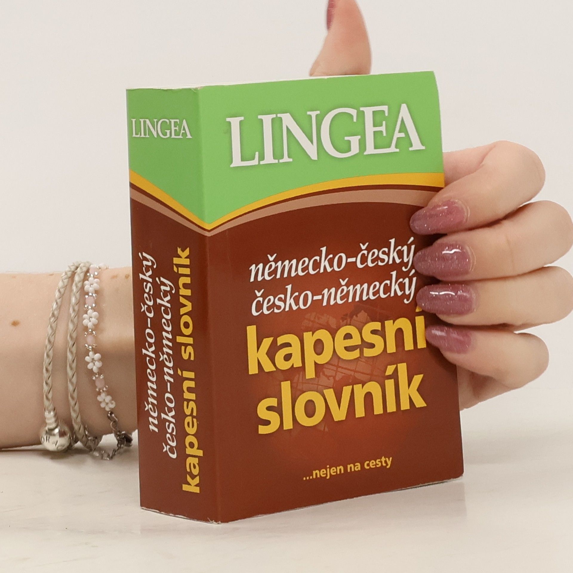 Autorenkollektiv Německo-český česko-německý kapesní slovník