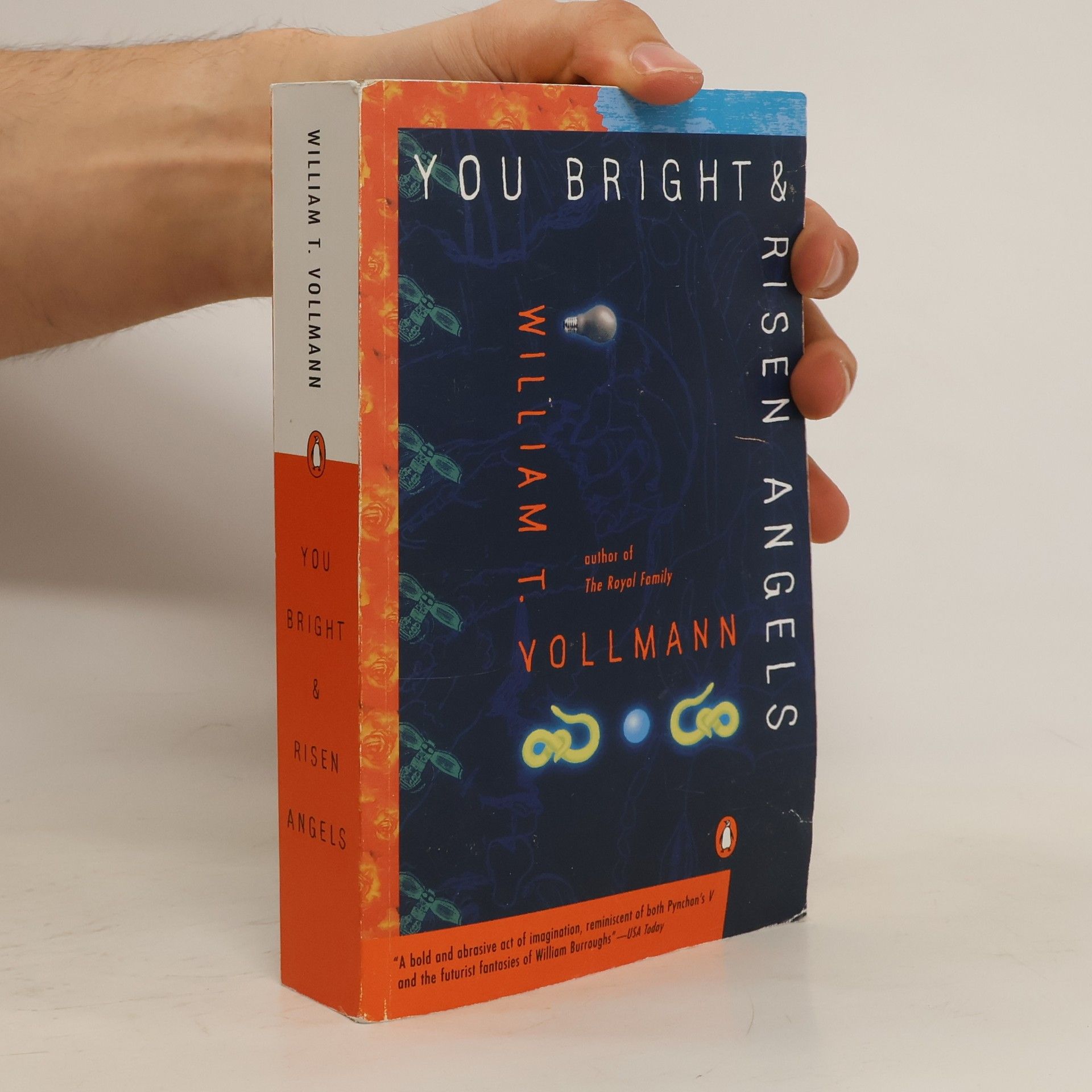 William Tanner Vollmann You Bright and Risen Angels
