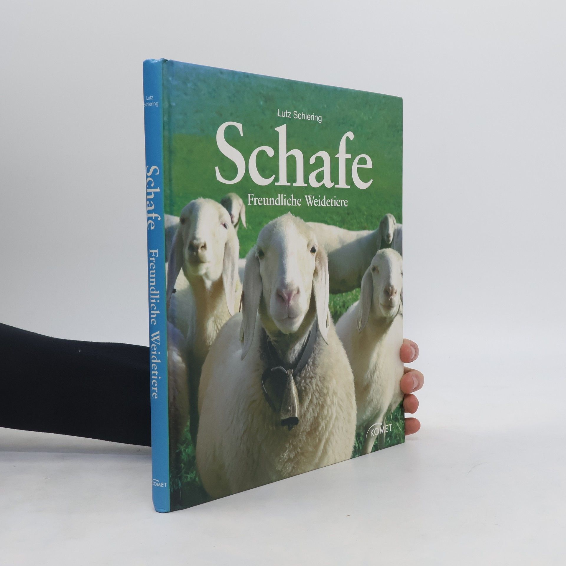 Lutz Schiering Schafe