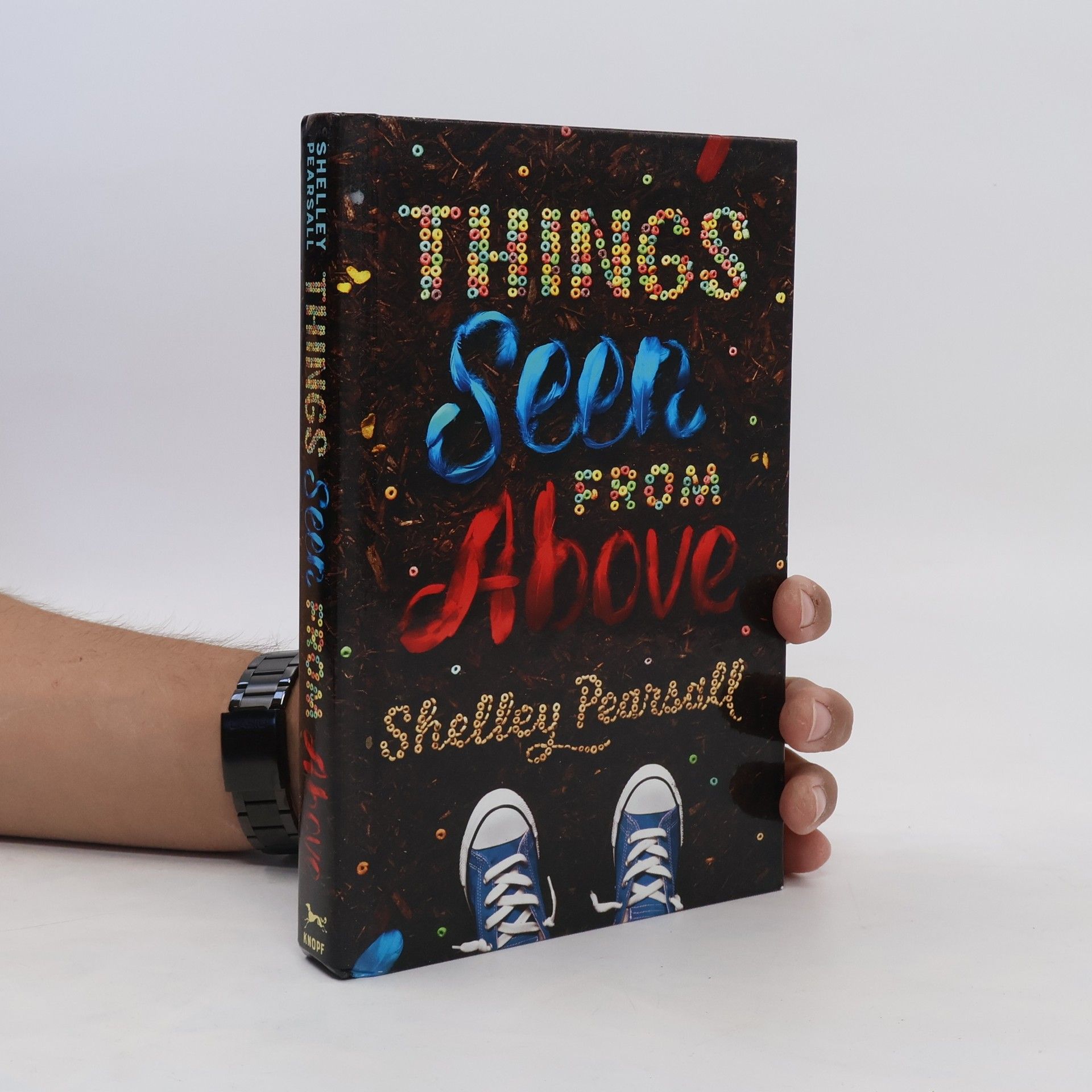 Shelley Pearsall Things Seen from Above