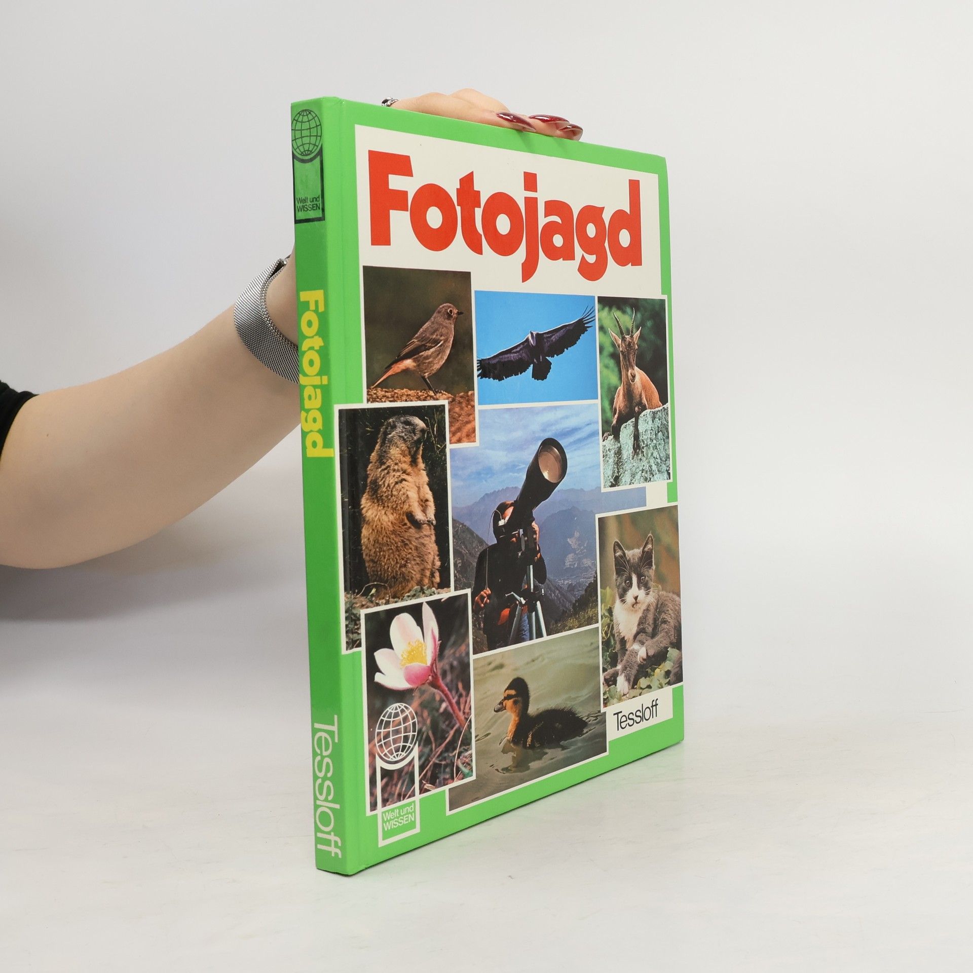 Giorgio P. Panini Fotojagd