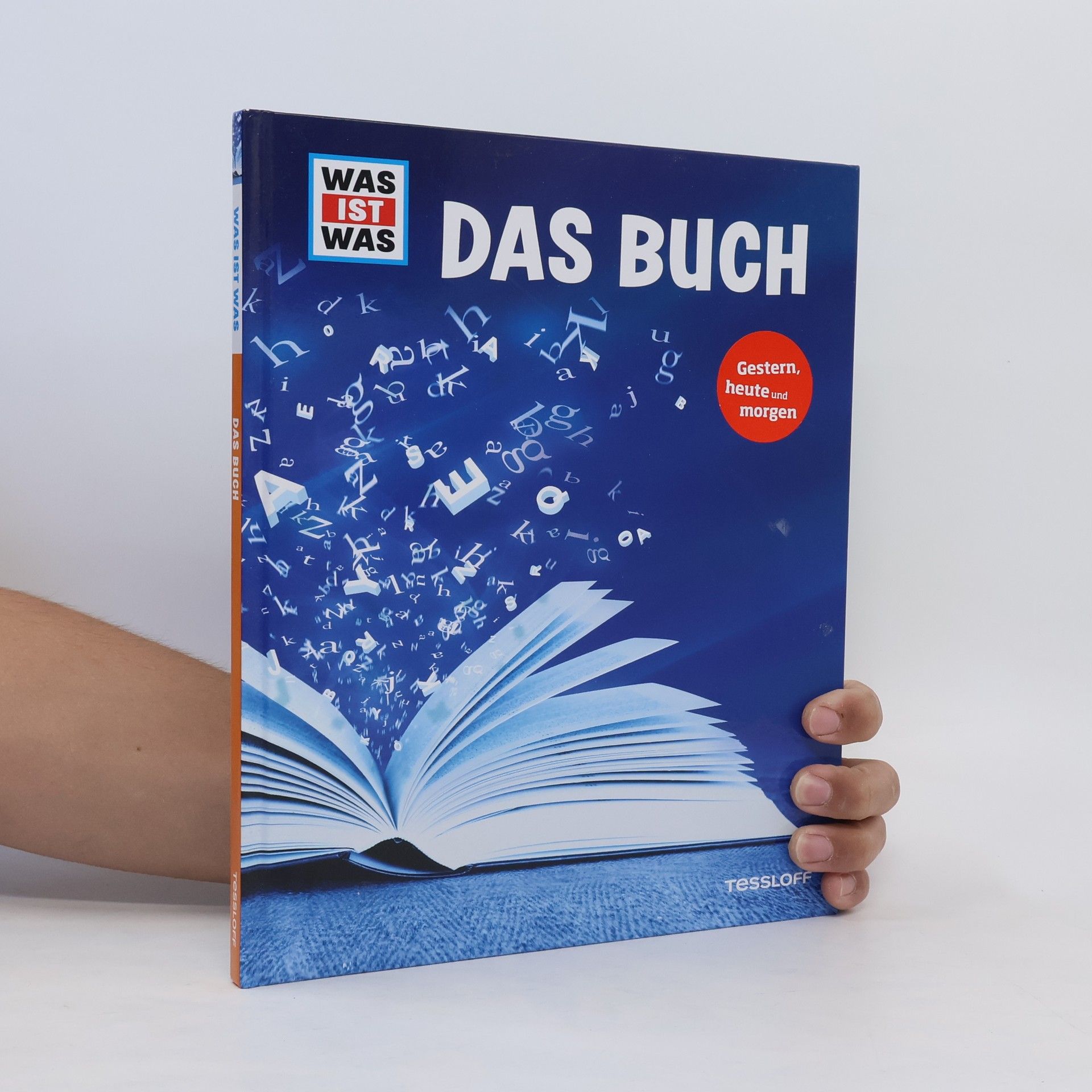 Bernd Flessner Das Buch