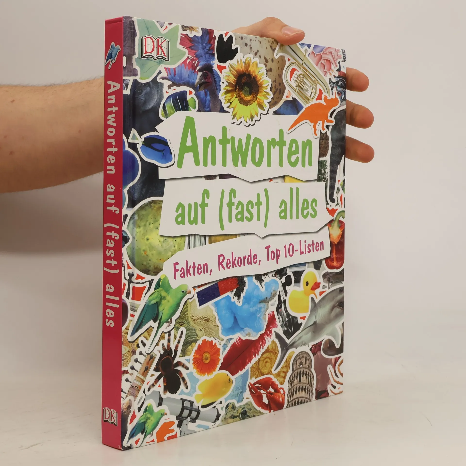 Antworten auf (fast) alles | Buch | Kim Dennis-Bryan