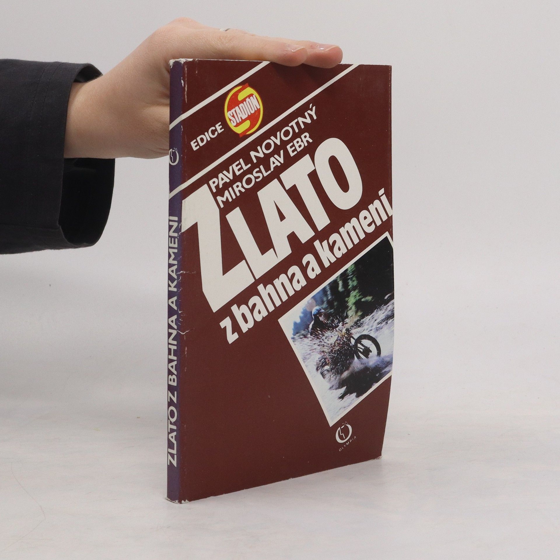 Miroslav Ebr Zlato z bahna a kamení