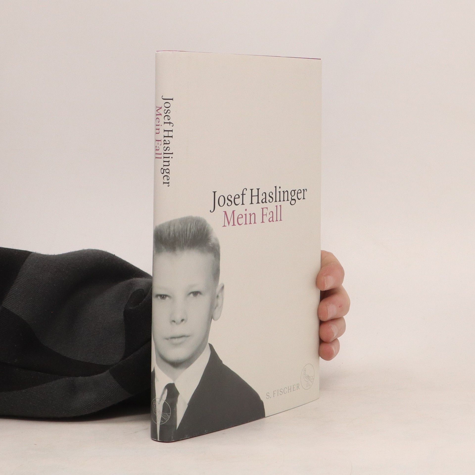 Josef Haslinger Mein Fall