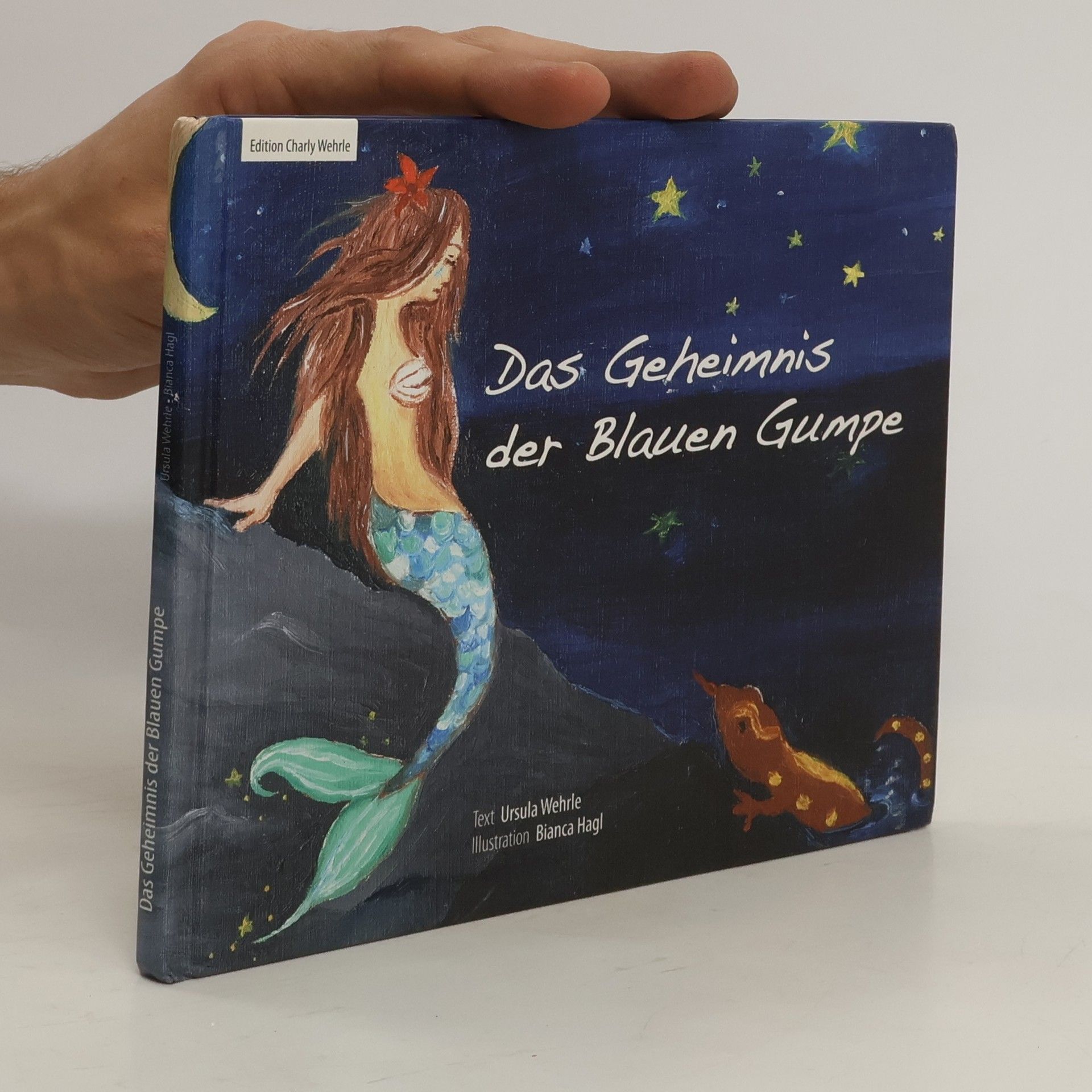 Das Geheimnis der Blauen Gumpe
