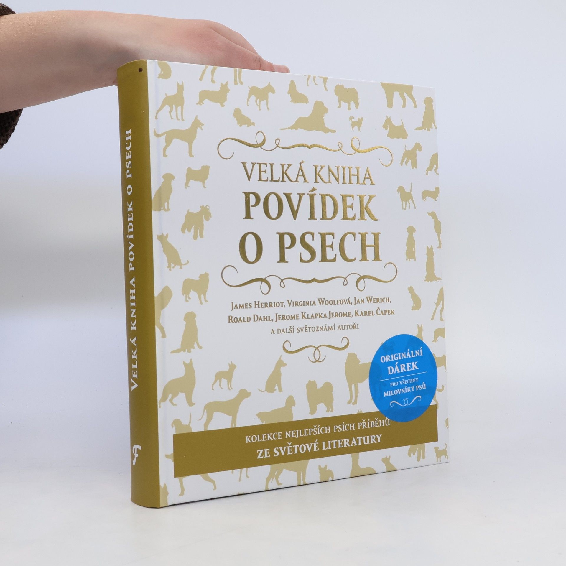 Collectif d'auteurs Velká kniha povídek o psech