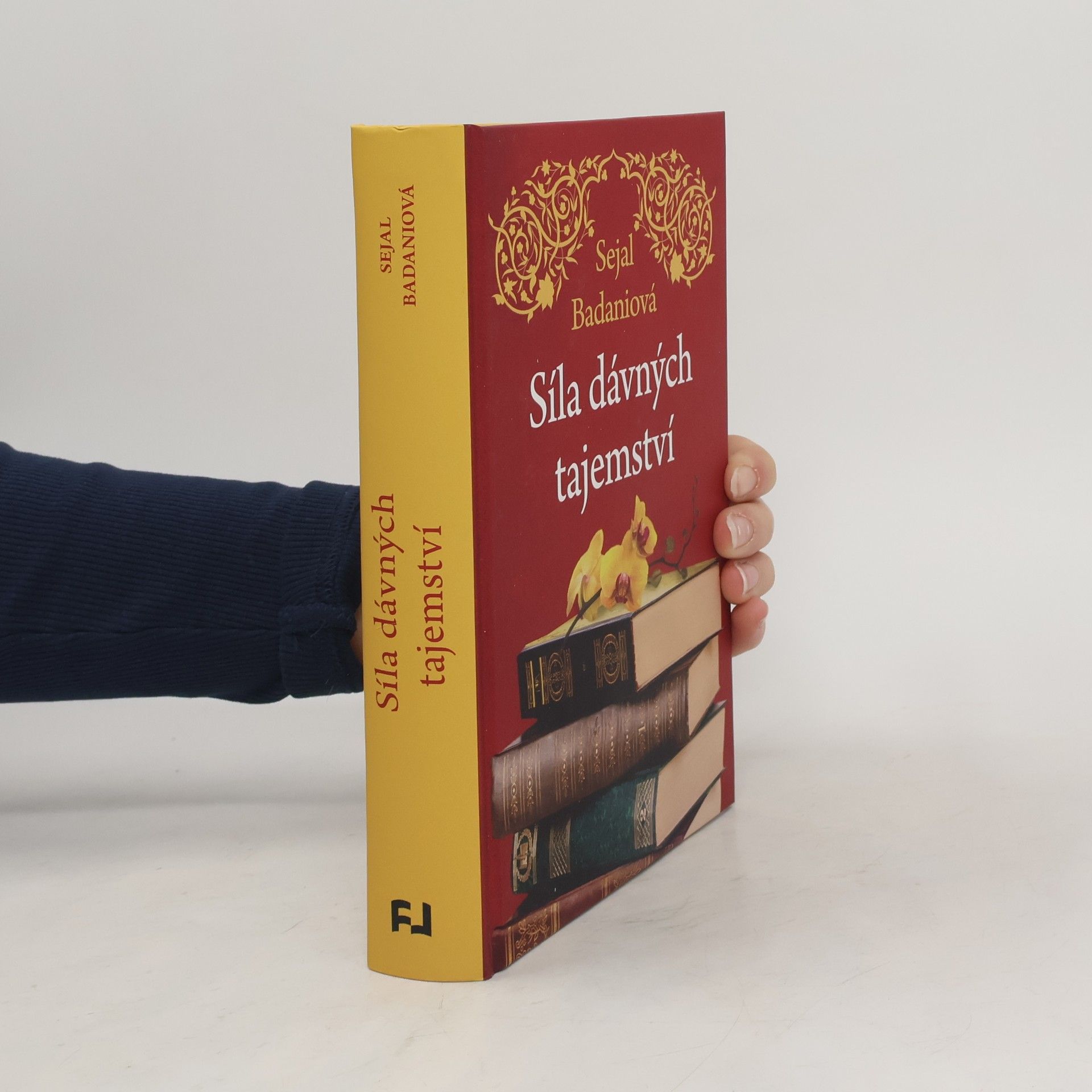Sejal Badani Síla dávných tajemství
