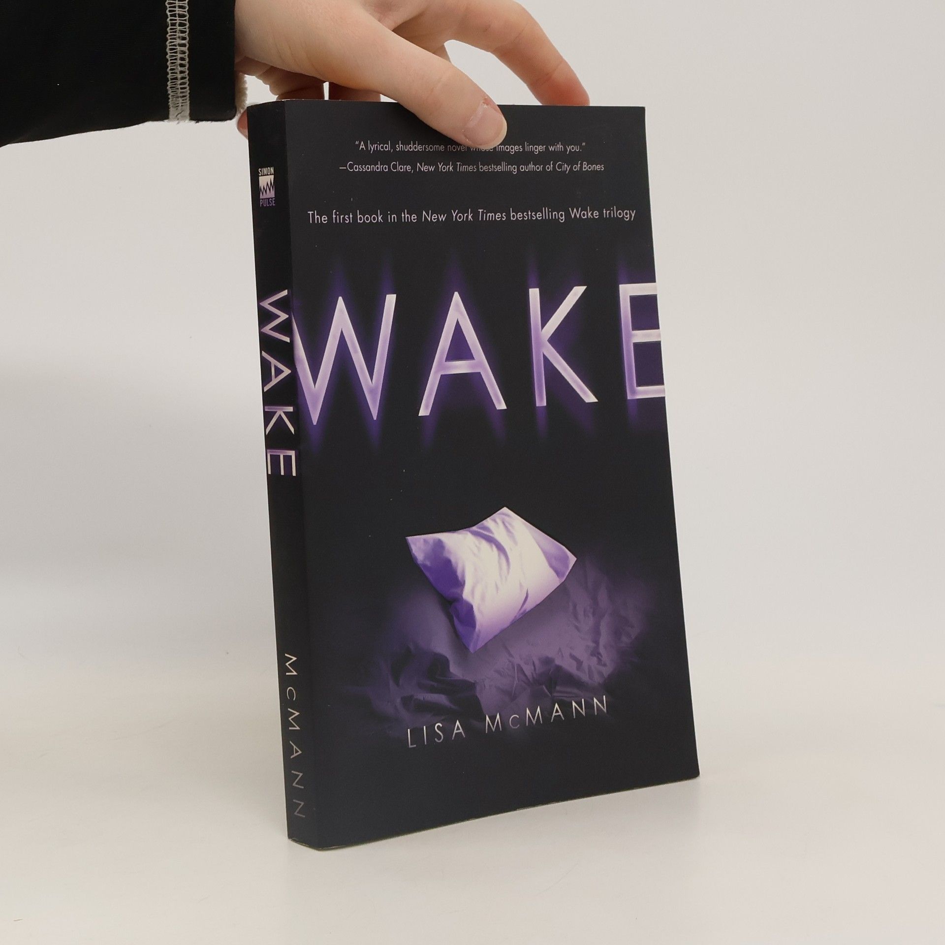 Lisa McMann Wake