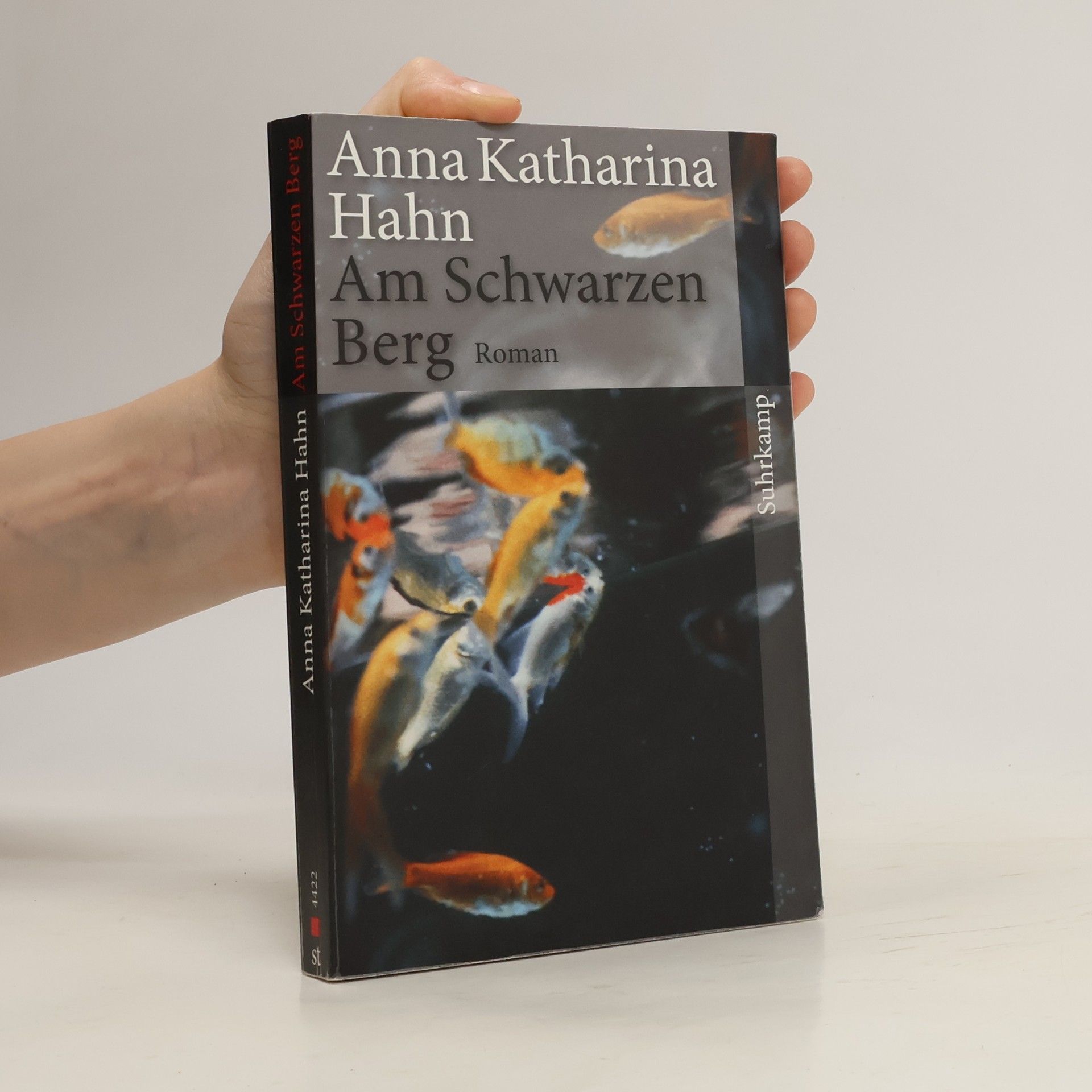 Anna Katharina Hahn Am Schwarzen Berg