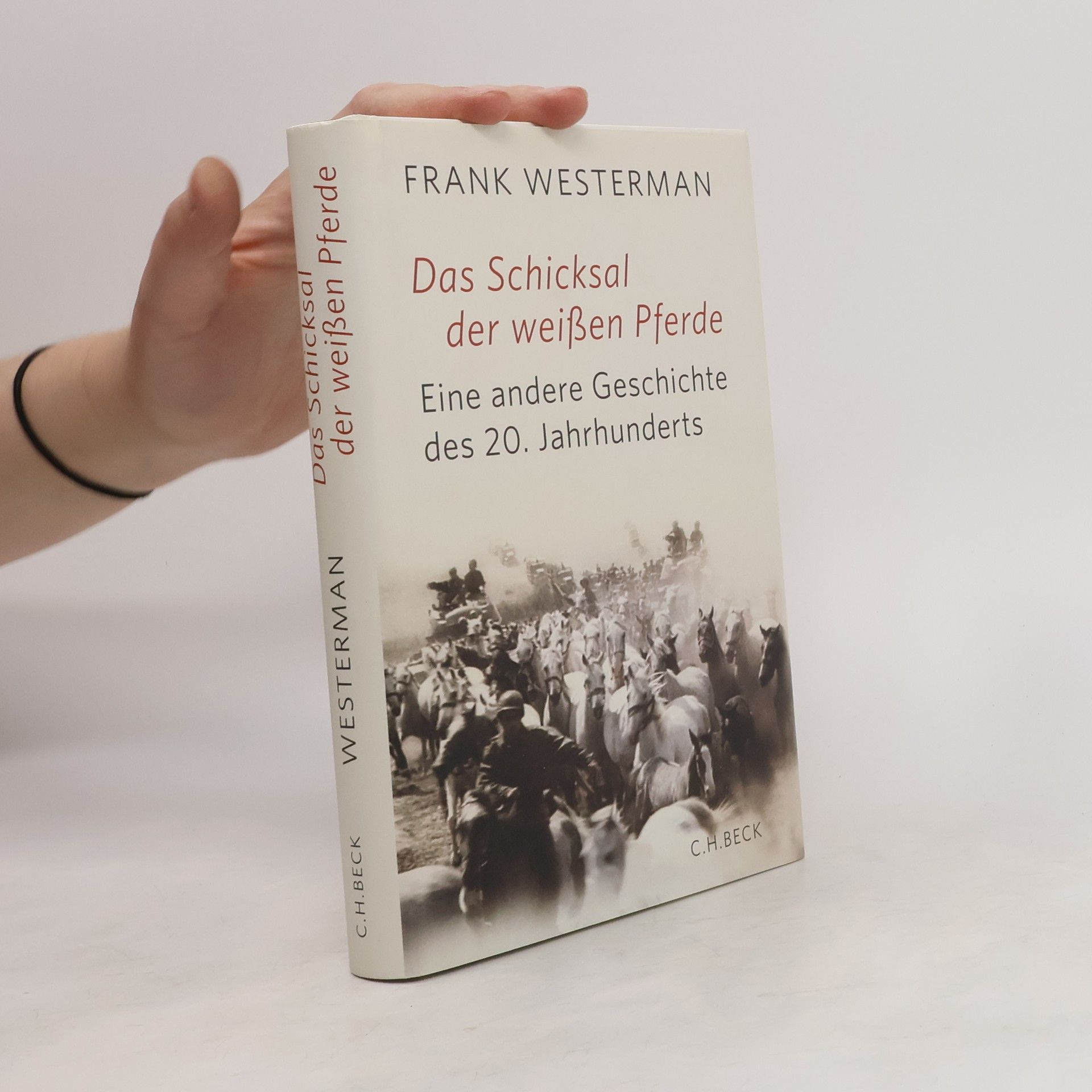 Frank Westerman Das Schicksal der weißen Pferde