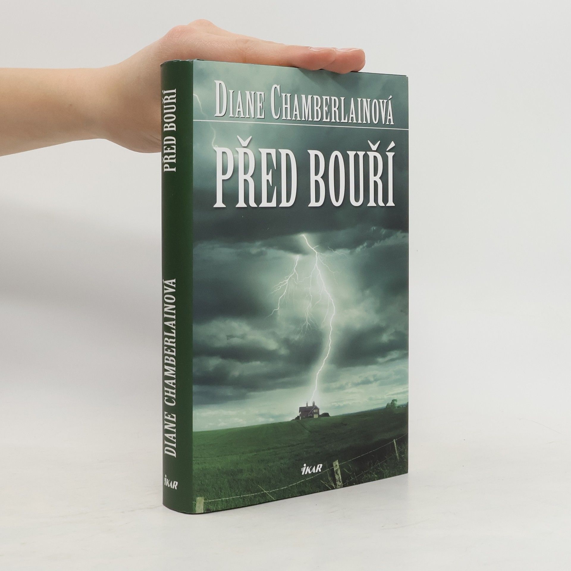 Diane Chamberlain Před bouří