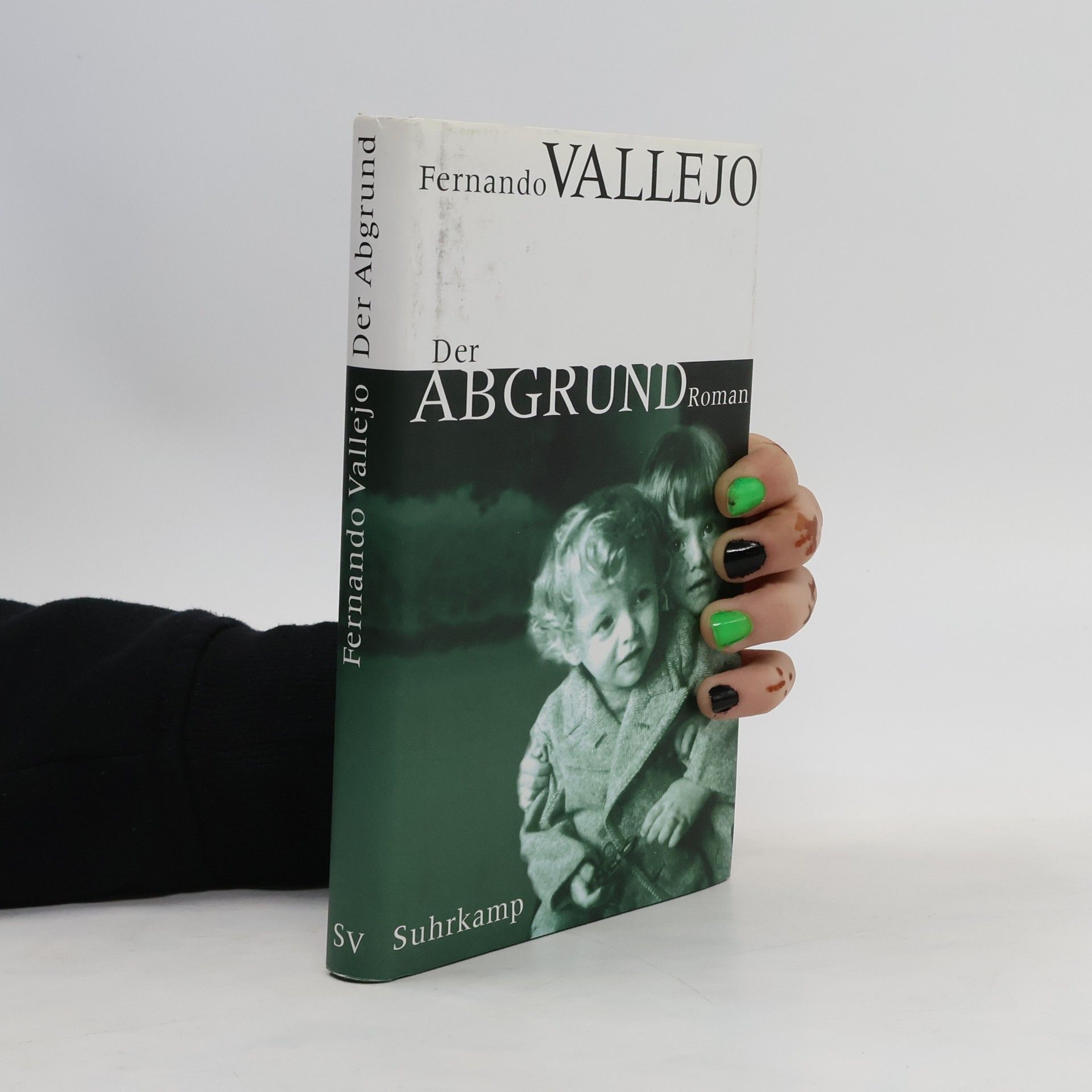 Fernando Vallejo Der Abgrund