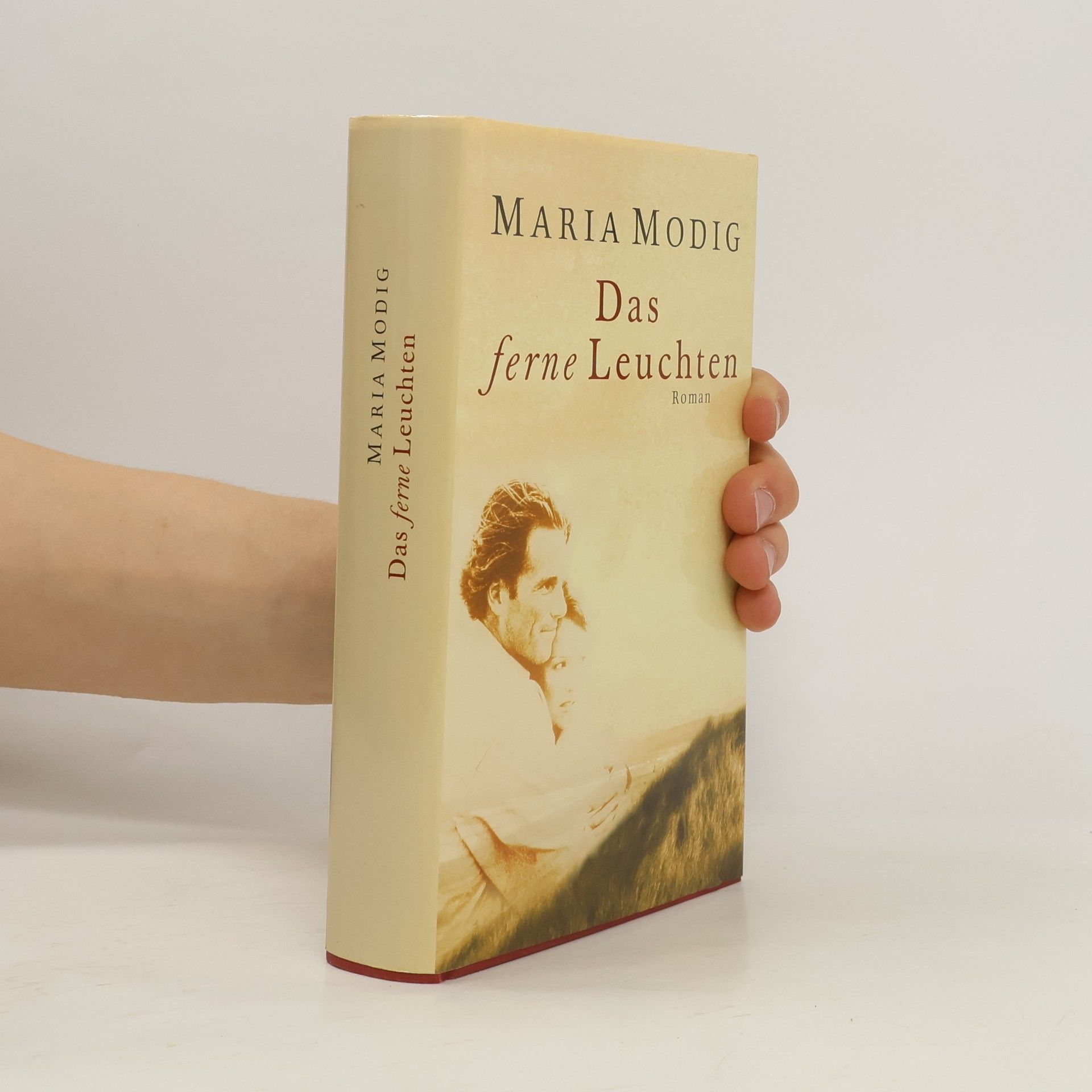 Maria Modig Das ferne Leuchten