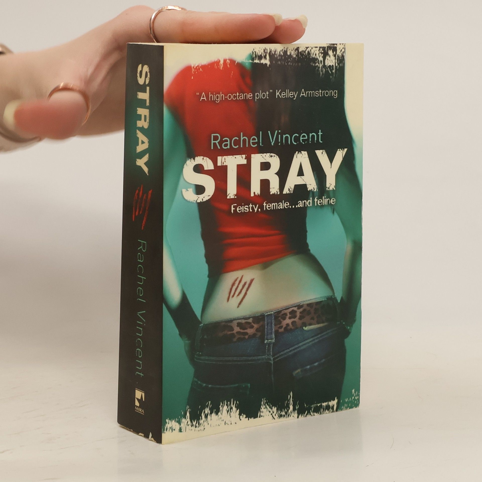 Rachel Vincent Stray