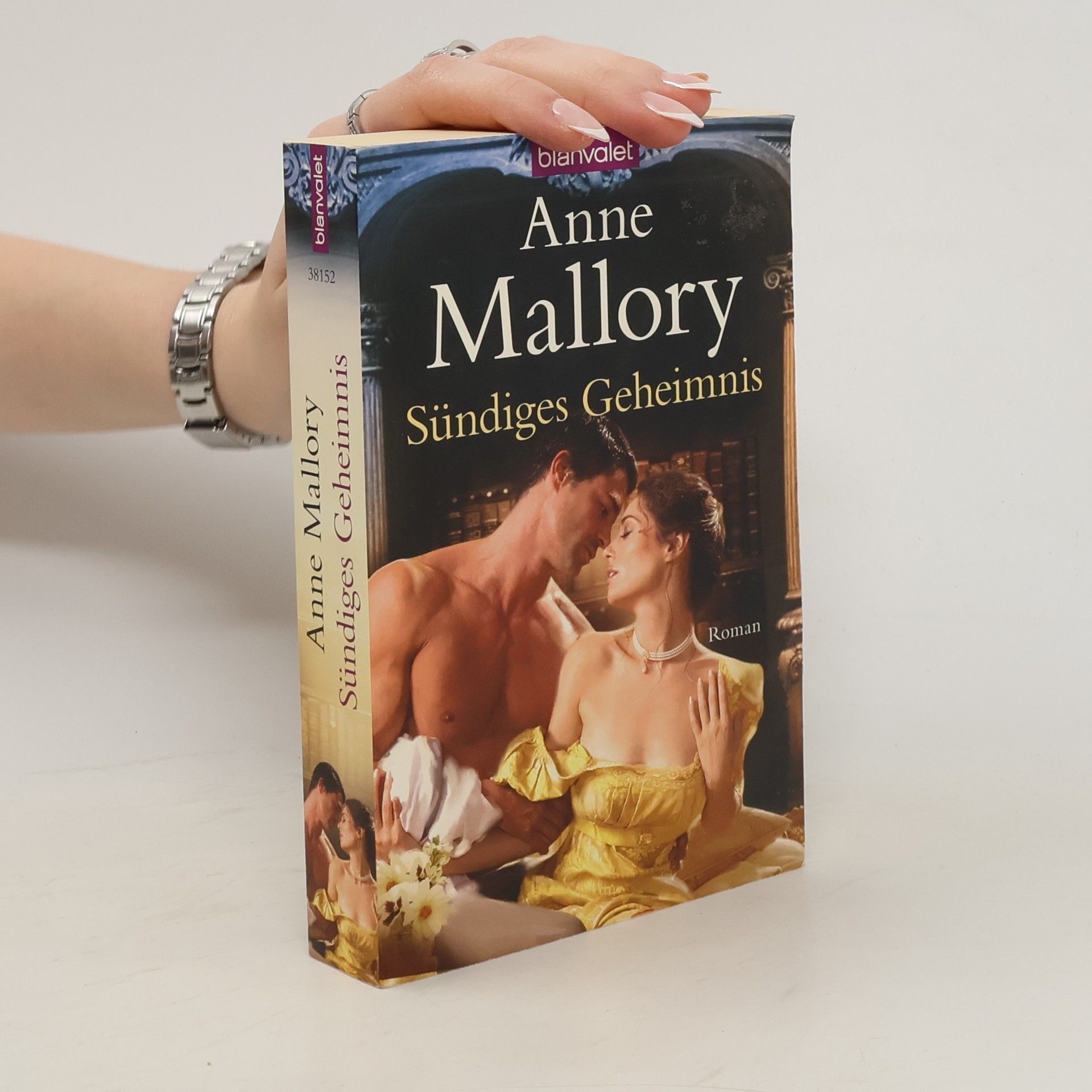 Anne Mallory Sündiges Geheimnis