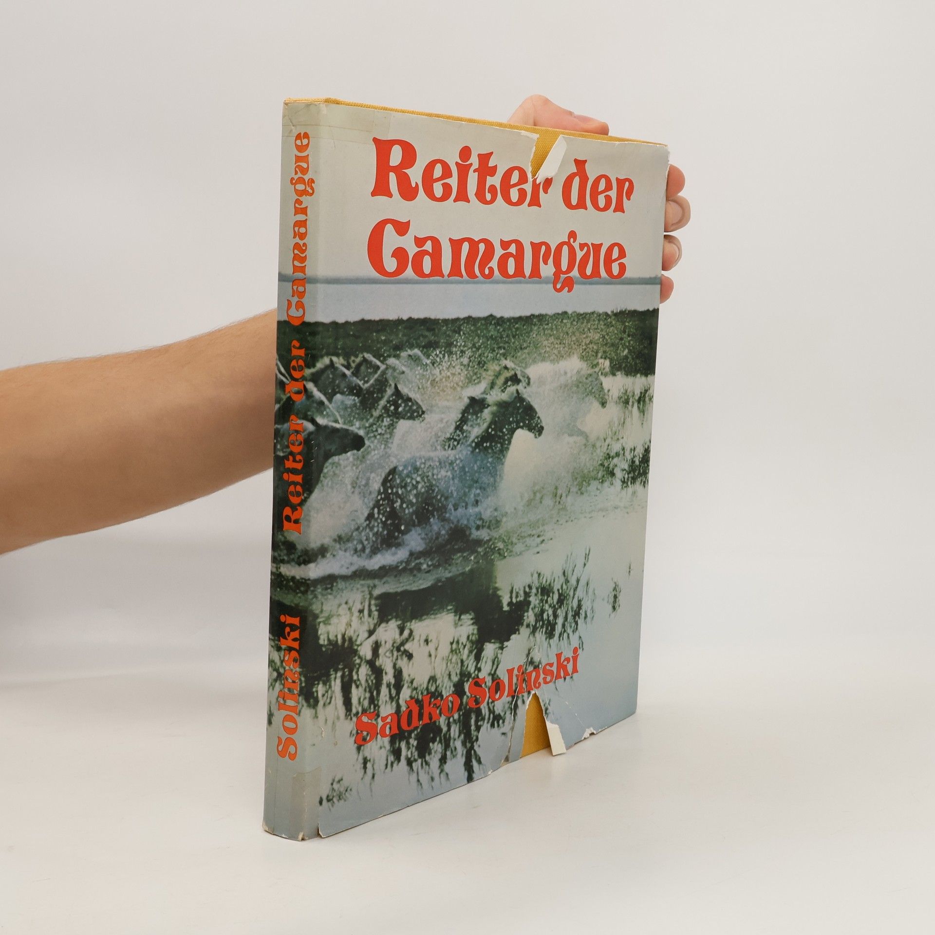 Sadko Günter Solinski Reiter der Camargue