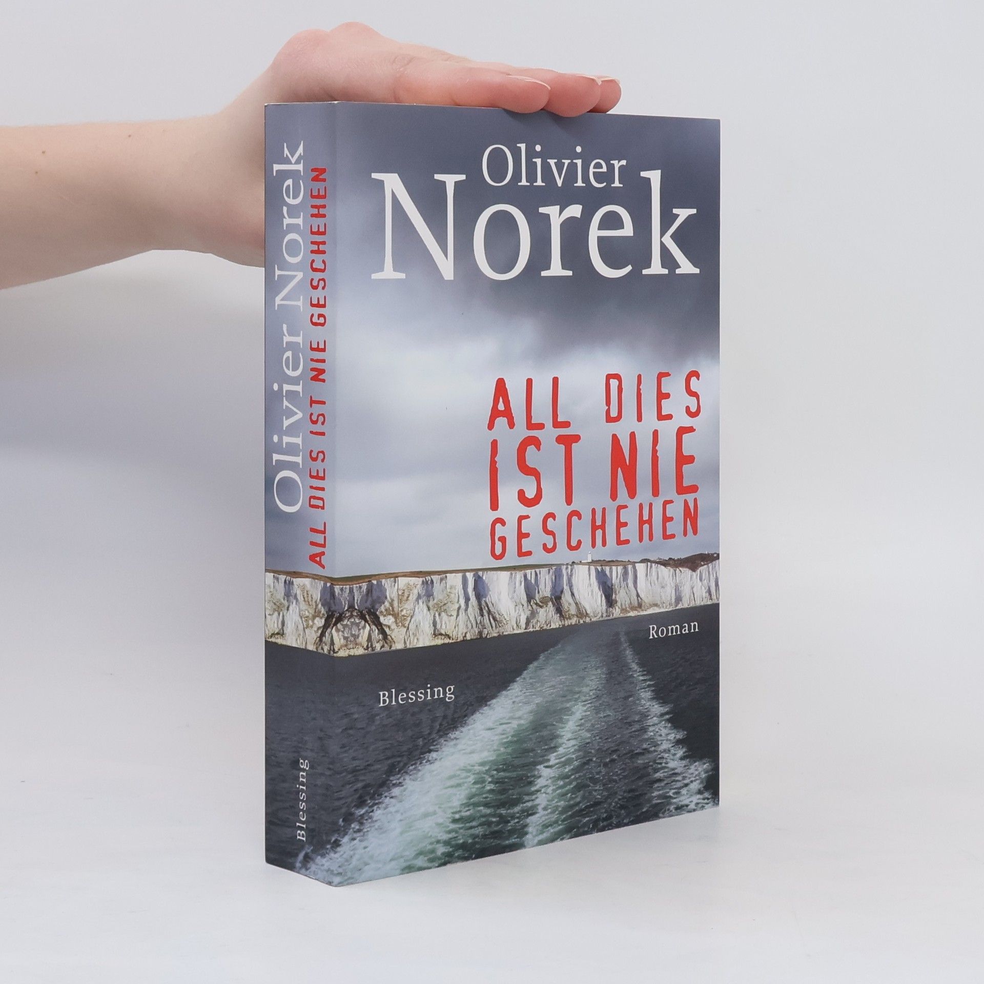 Olivier Norek All dies ist nie geschehen
