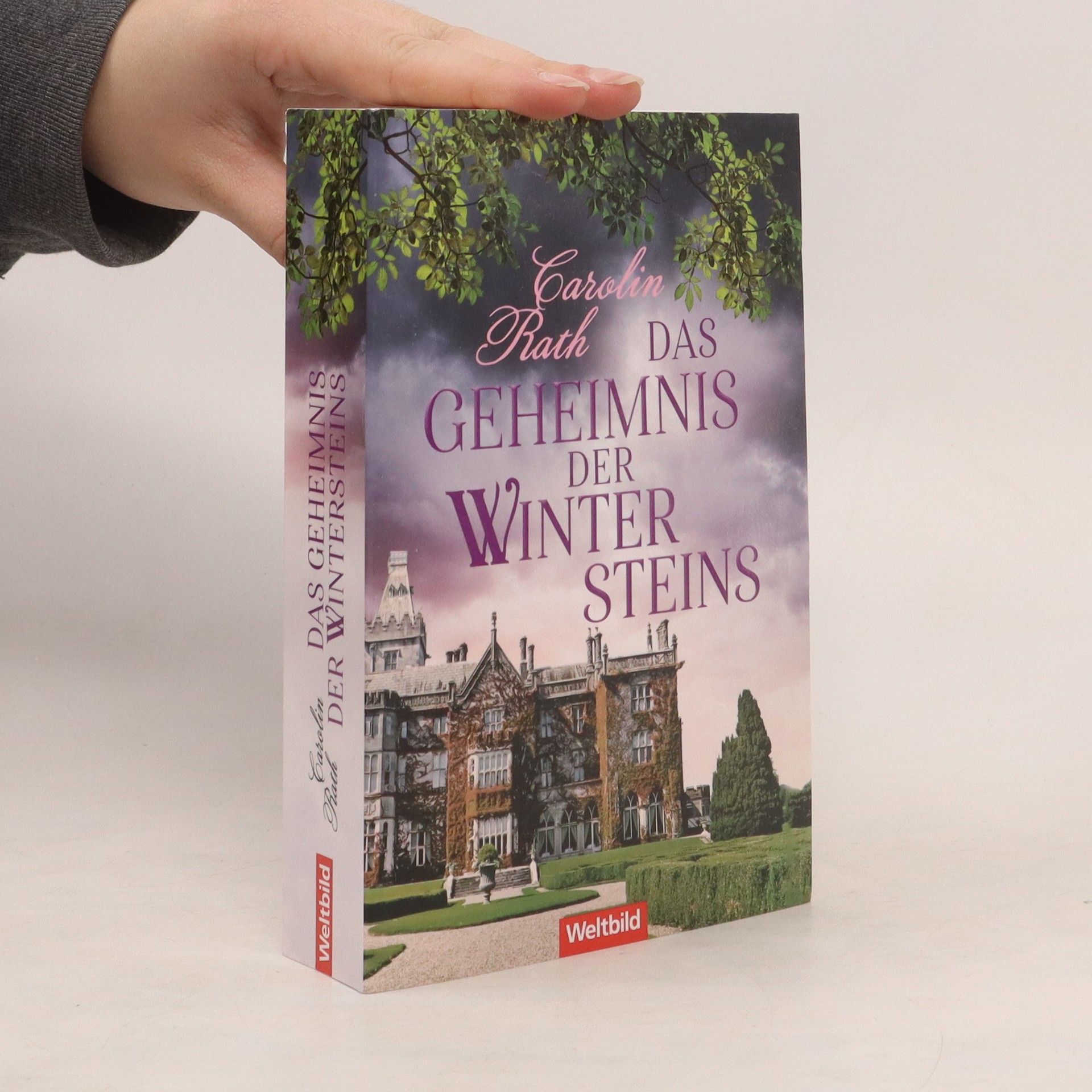 Carolin Rath Das Geheimnis der Wintersteins
