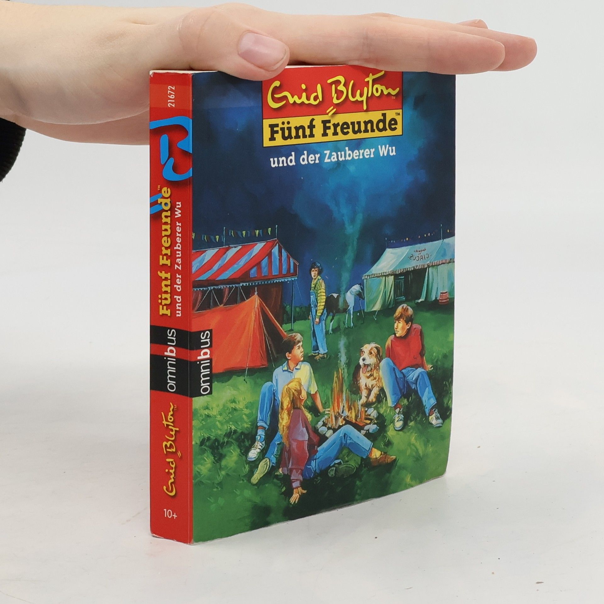 Enid Blyton Fünf Freunde und der Zauberer Wu