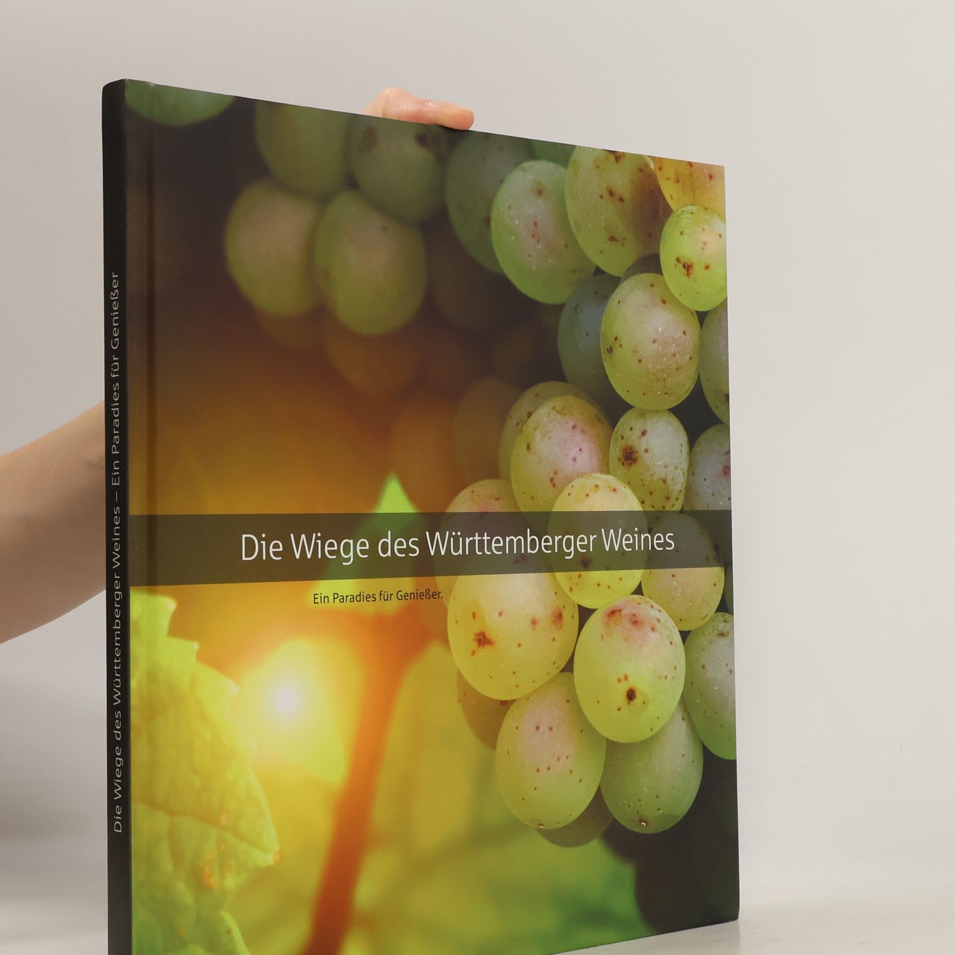Die Wiege des Württemberger Weines