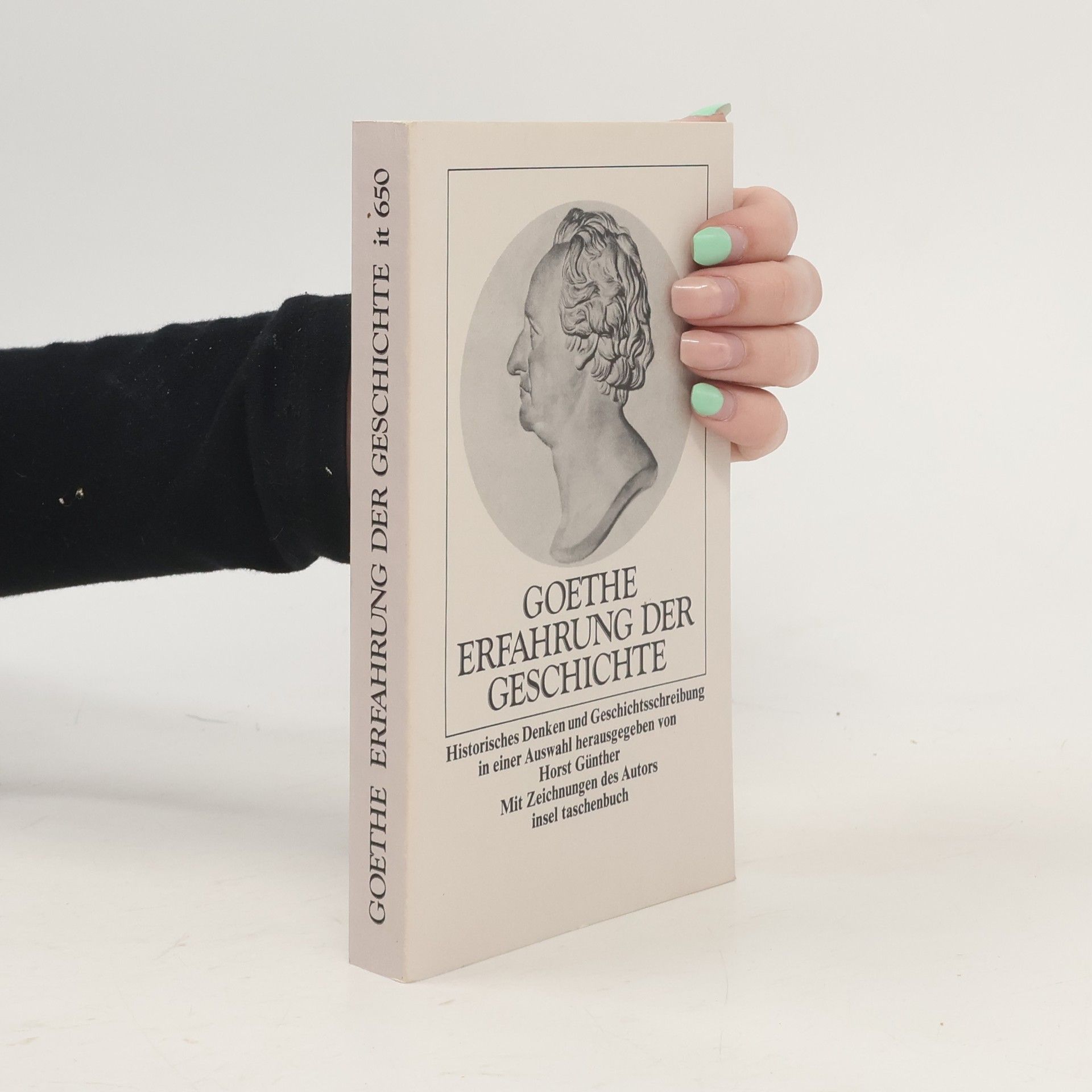 Johann Wolfgang von Goethe Erfahrung der Geschichte