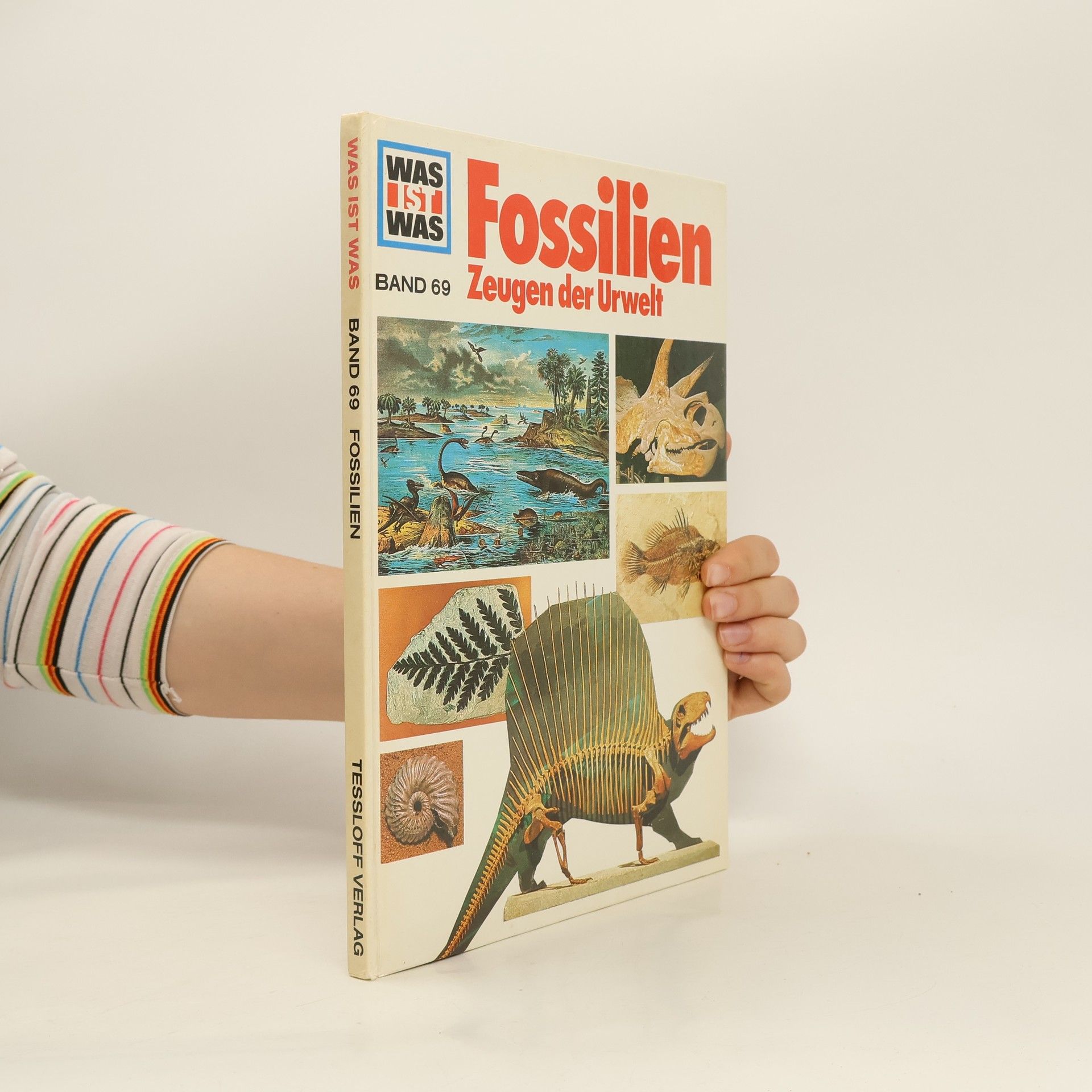 Hans Reichardt Fossilien