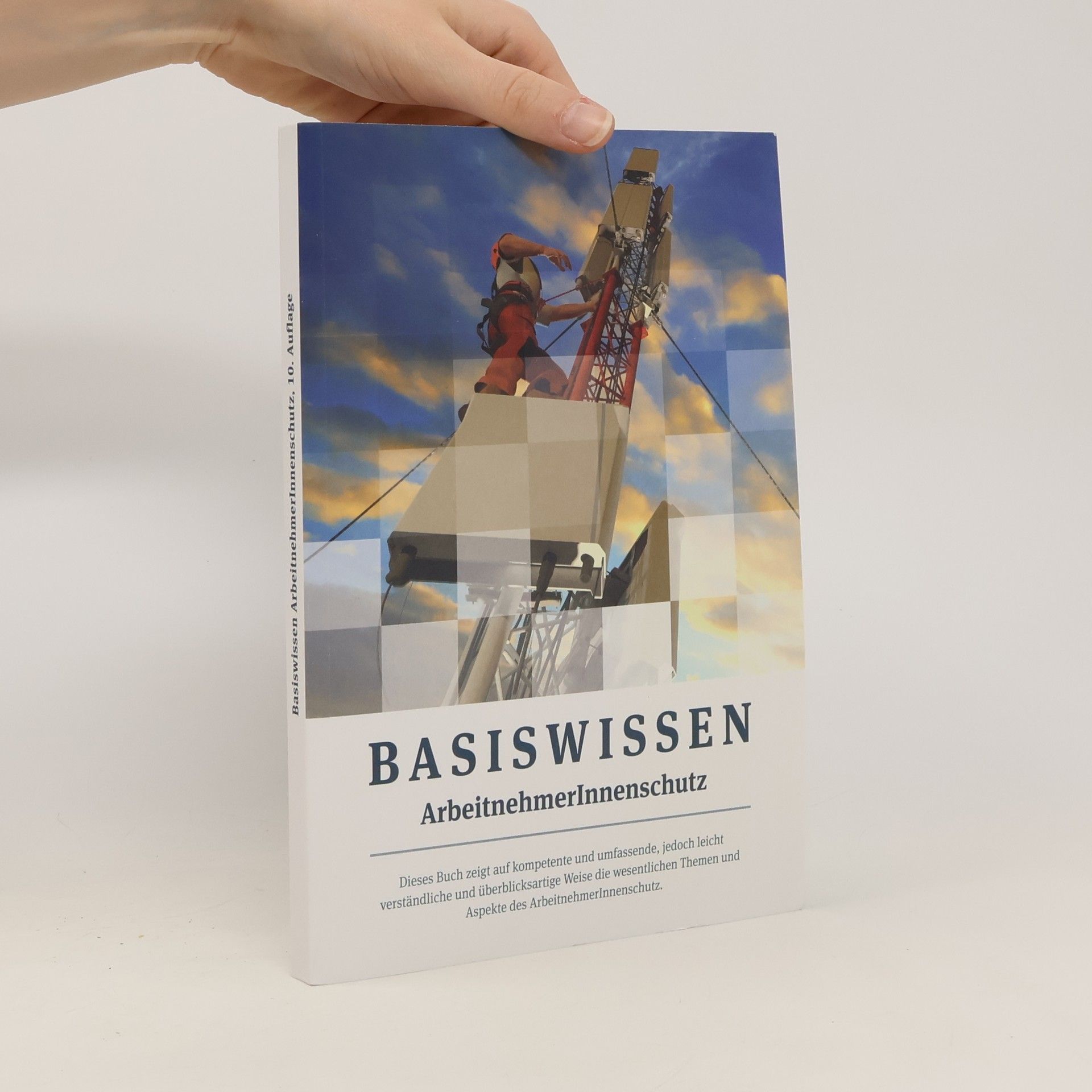 Collectif d'auteurs Basiswissen Arbeitnehmerinnenschutz
