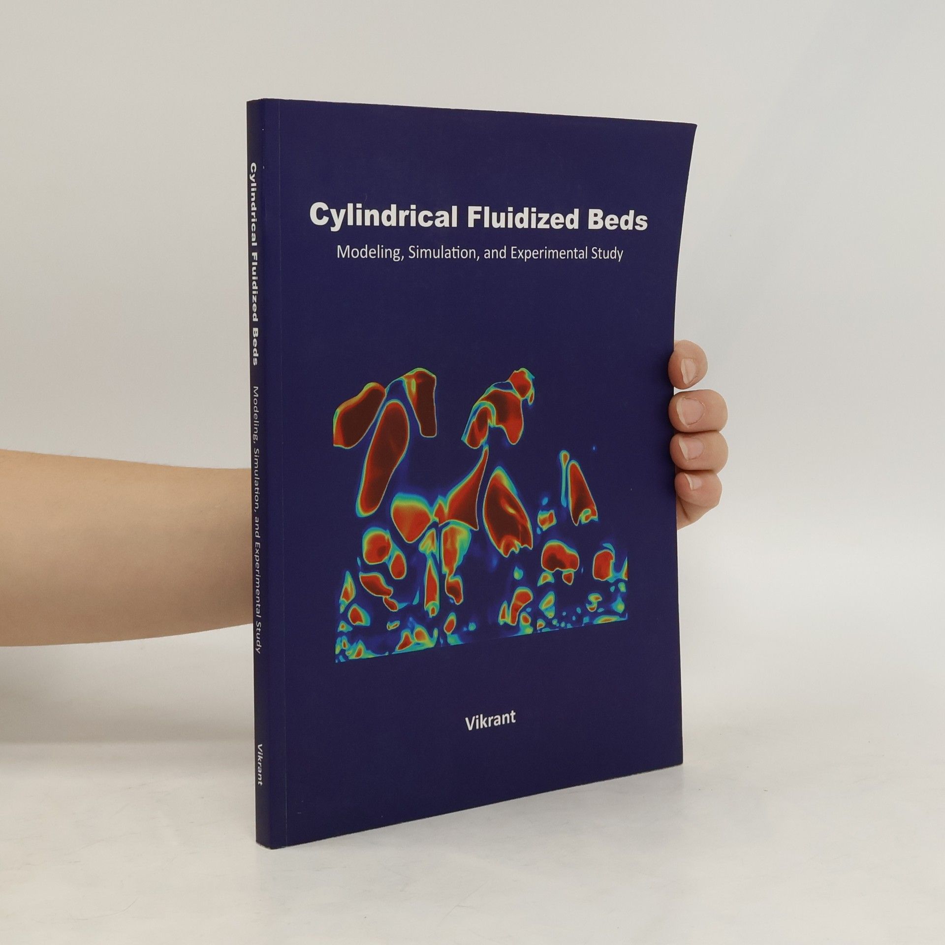 Autorenkollektiv Cylindrical Fluidized Beds