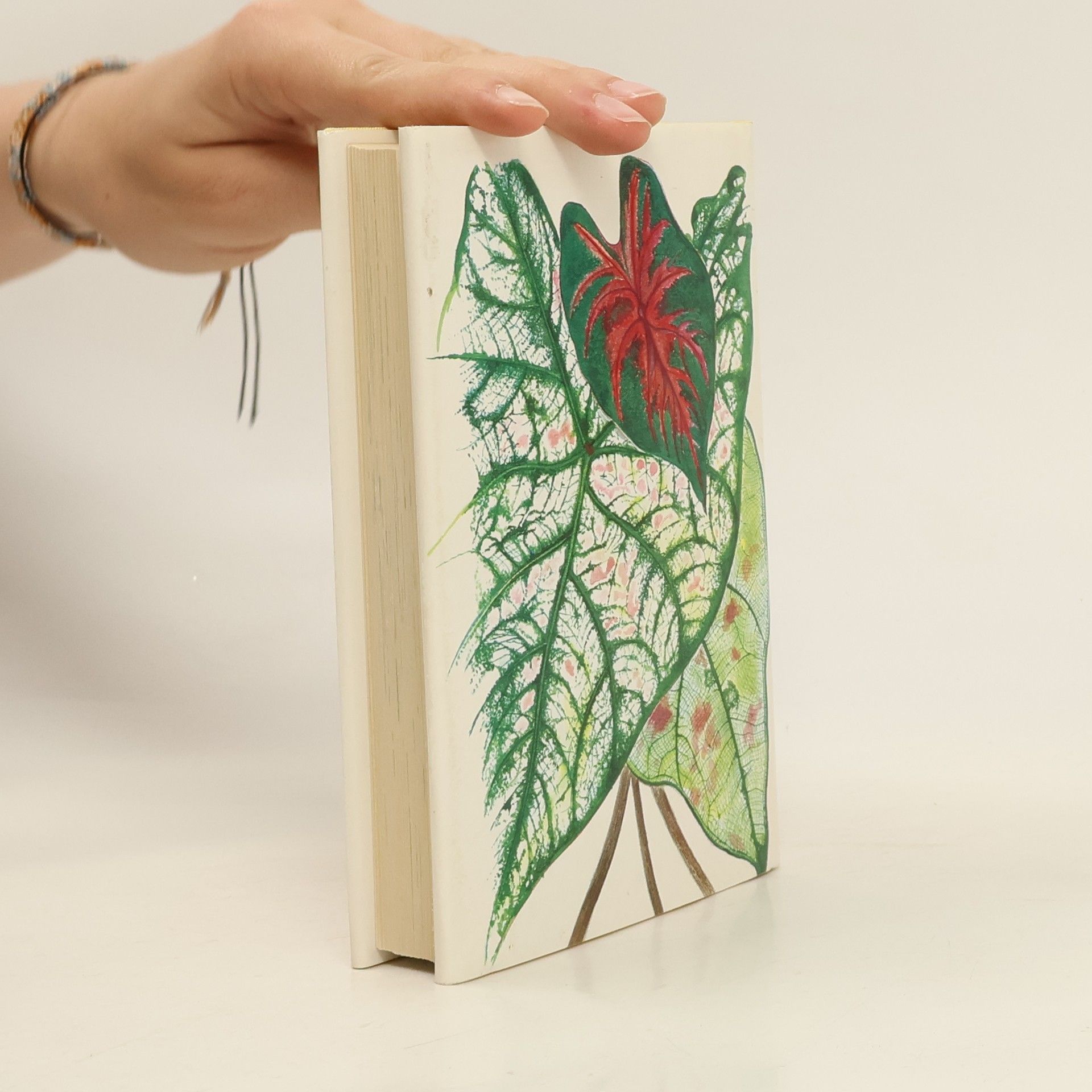 Jaroslav Oplt Taschenatlas der Zimmerpflanzen