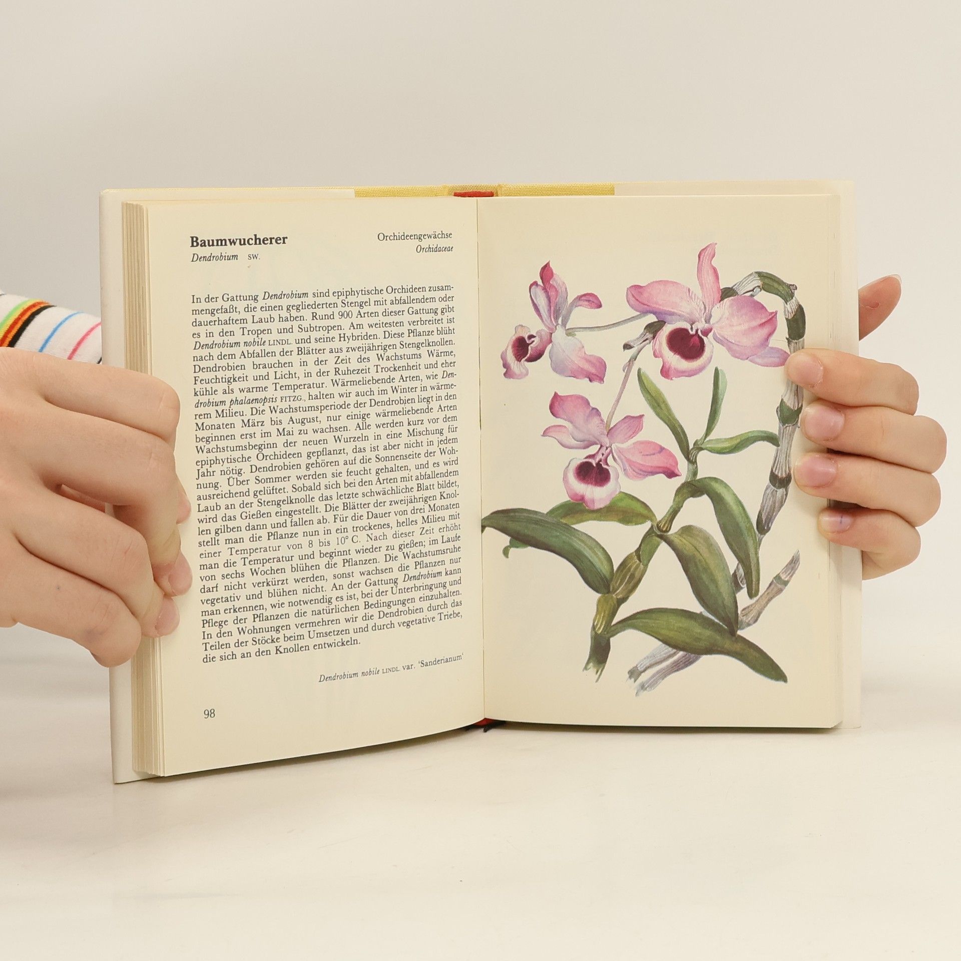 Jaroslav Oplt Taschenatlas der Zimmerpflanzen