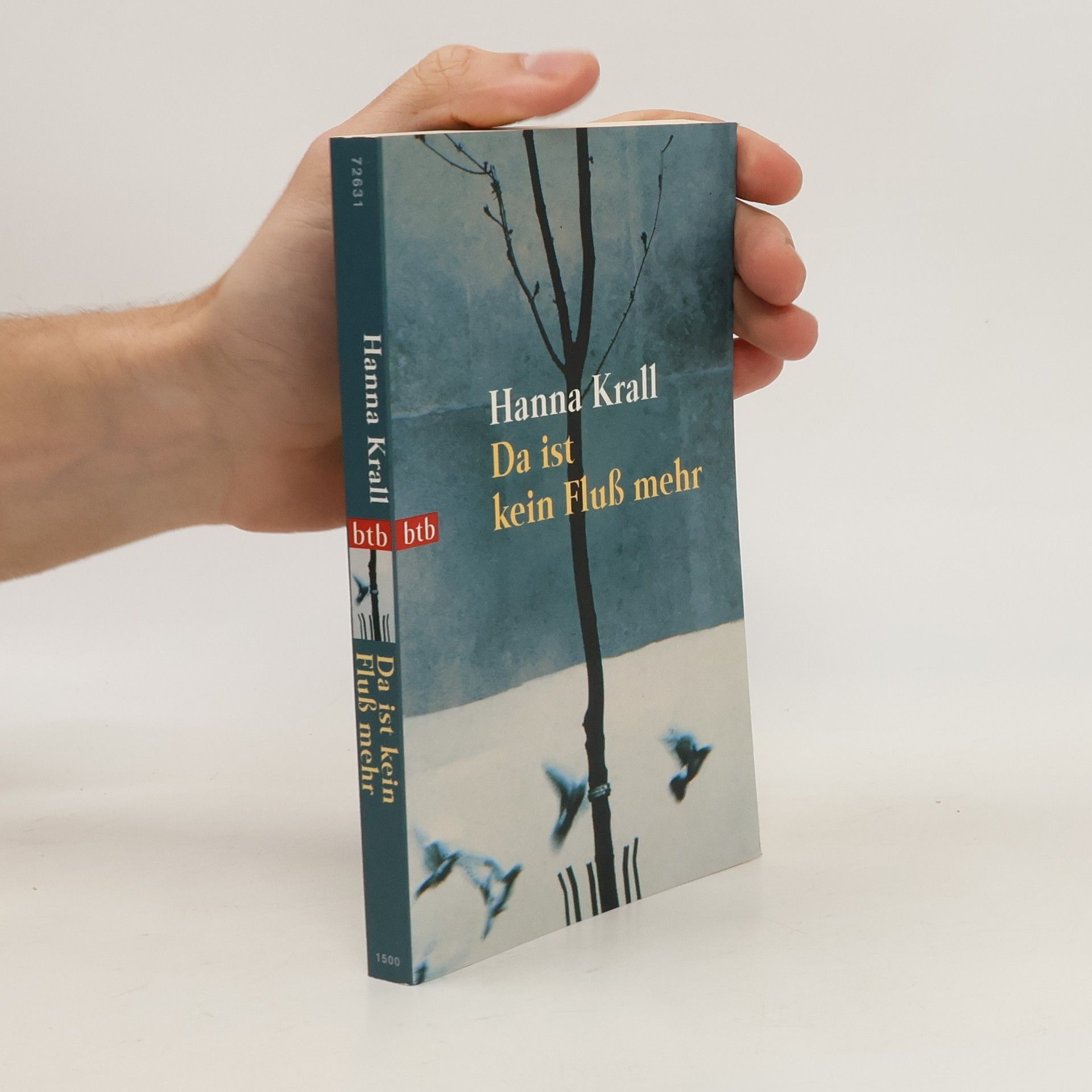 Hanna Krall Da ist kein Fluß mehr