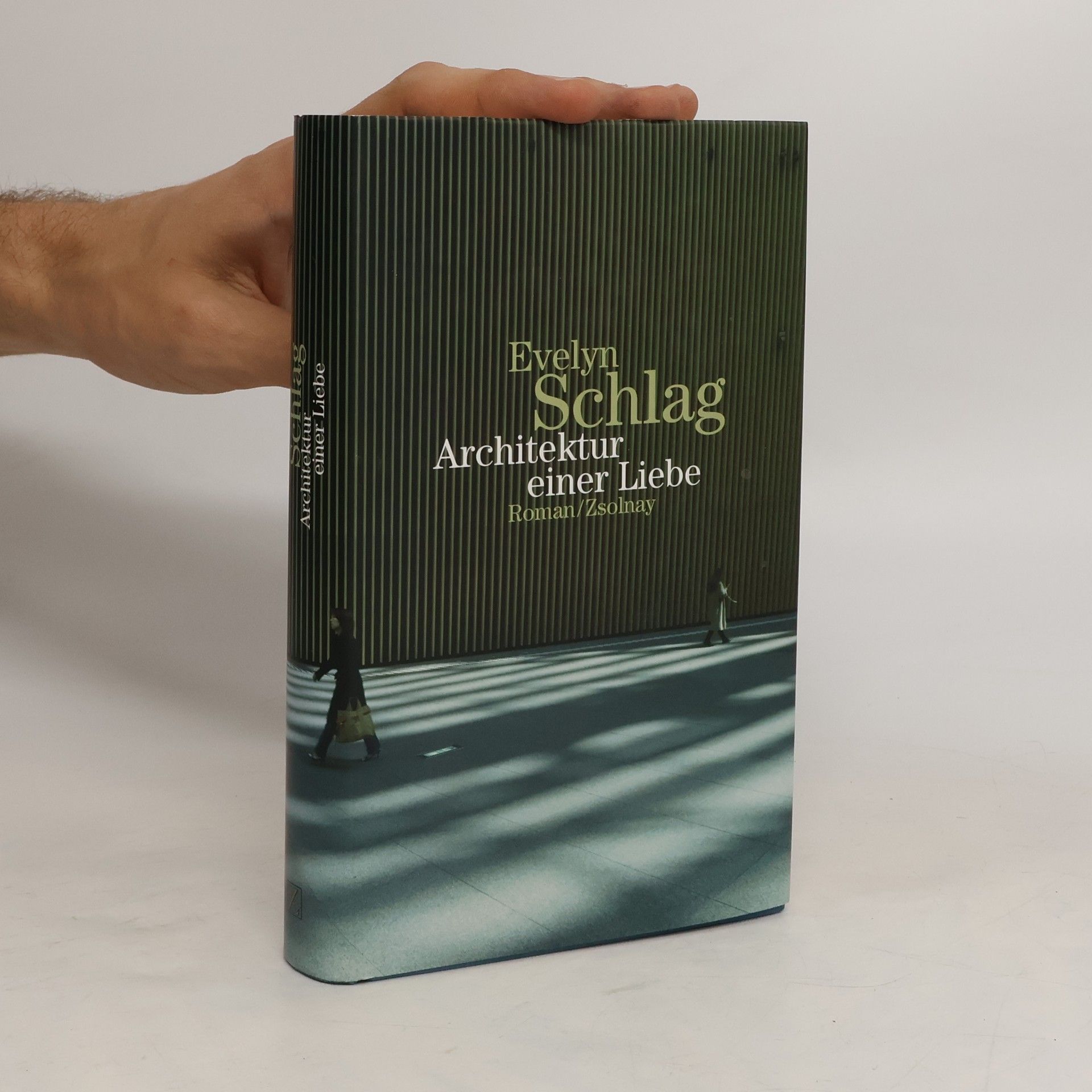 Evelyn Schlag Architektur einer Liebe