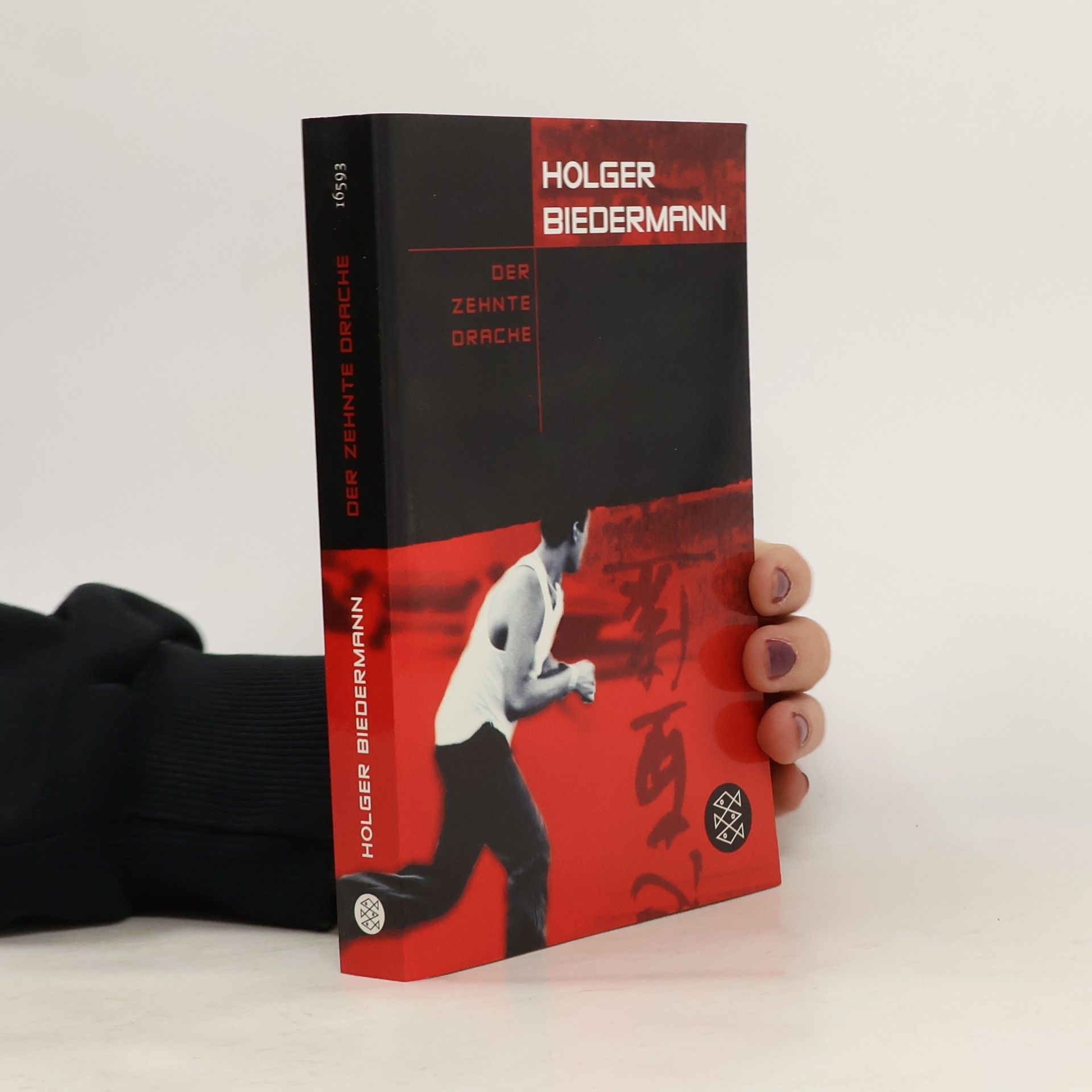 Holger Biedermann Der zehnte Drache