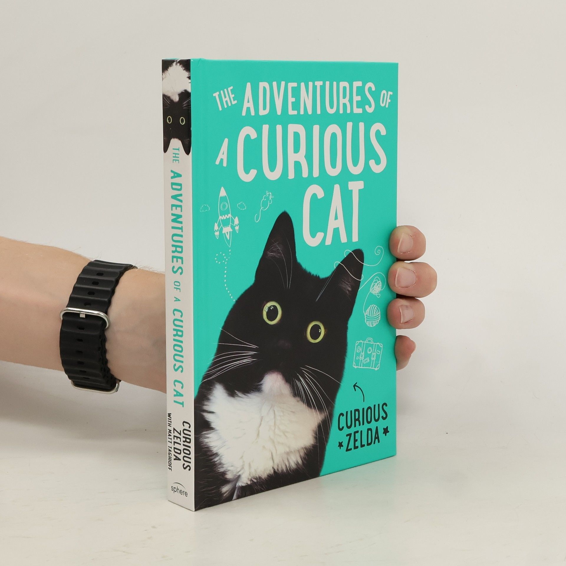 Curious Zelda The Adventures of a Curious Cat