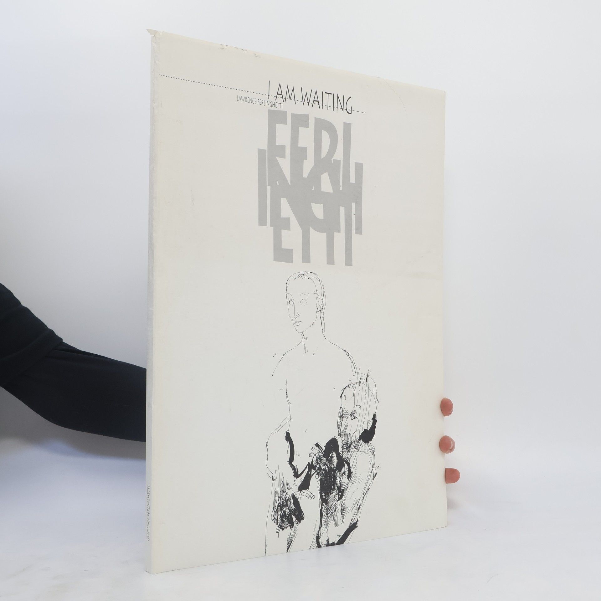 Lawrence Ferlinghetti I am waiting