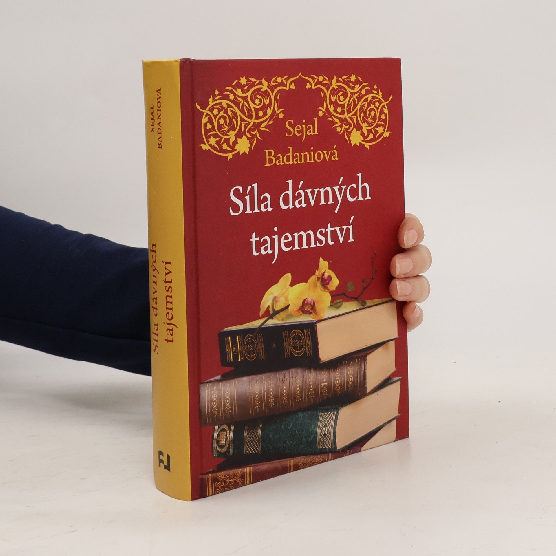 Sejal Badani Síla dávných tajemství